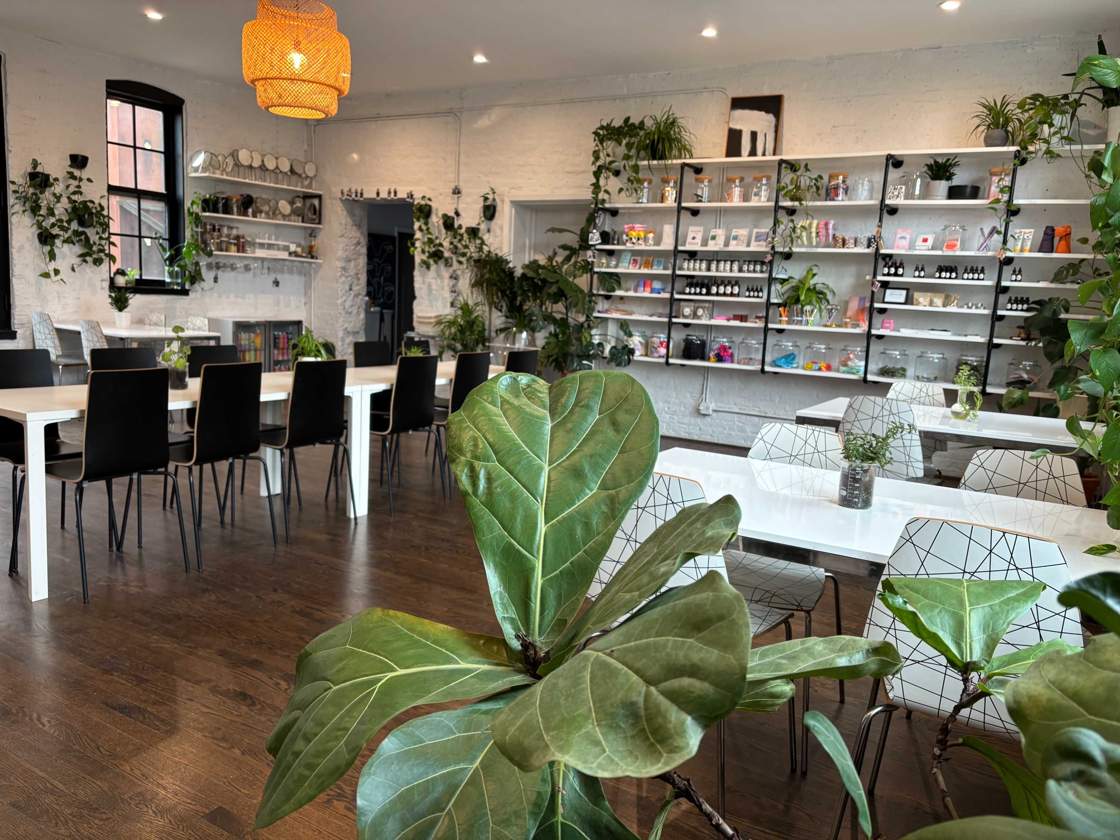 The image shows a modern interior space with white tables and black chairs arranged in a bright room adorned with plants and shelves displaying various products.