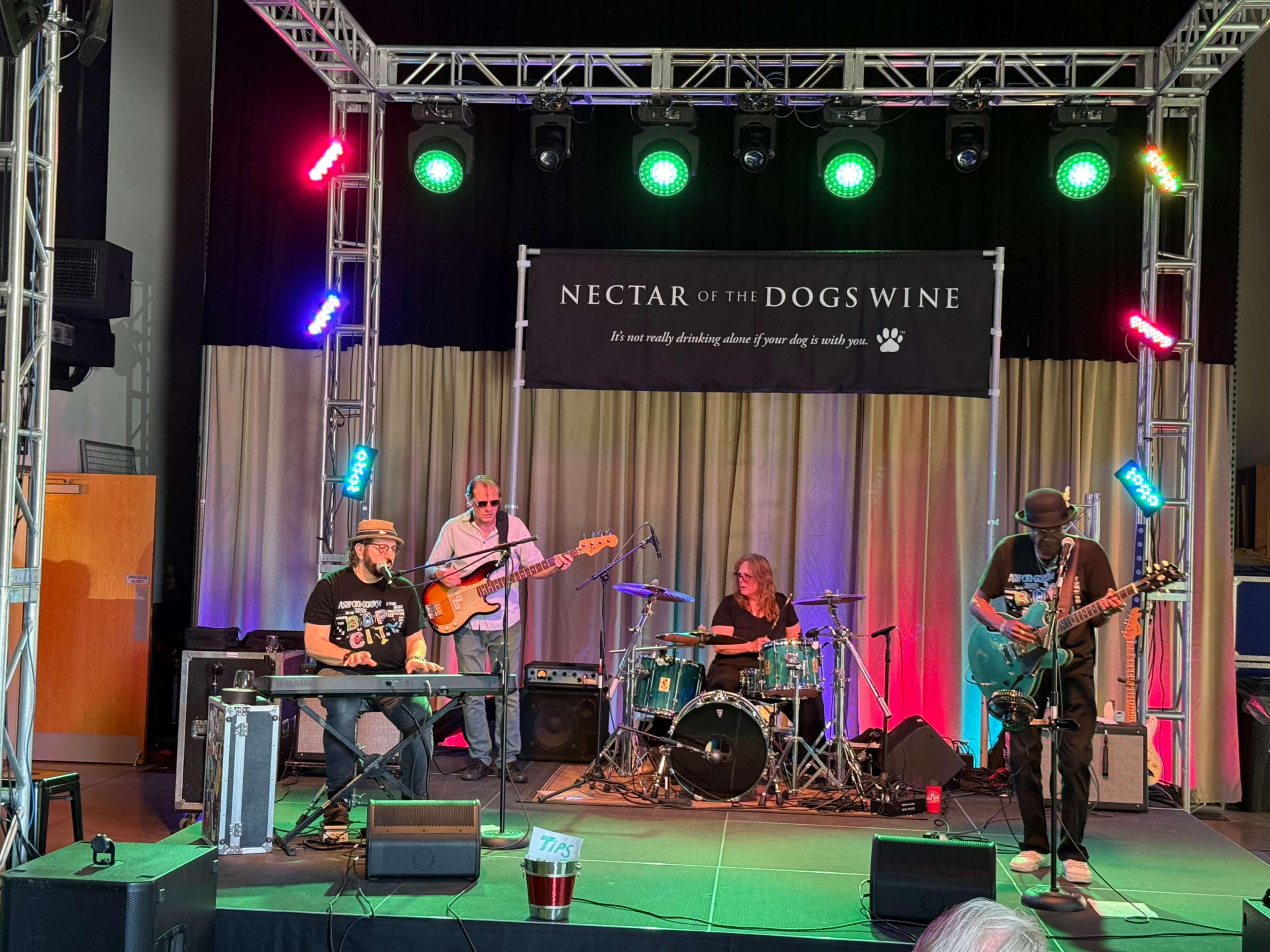 A band performs on stage with various instruments under colorful stage lights at an event titled "Nectar of the Dogs Wine."