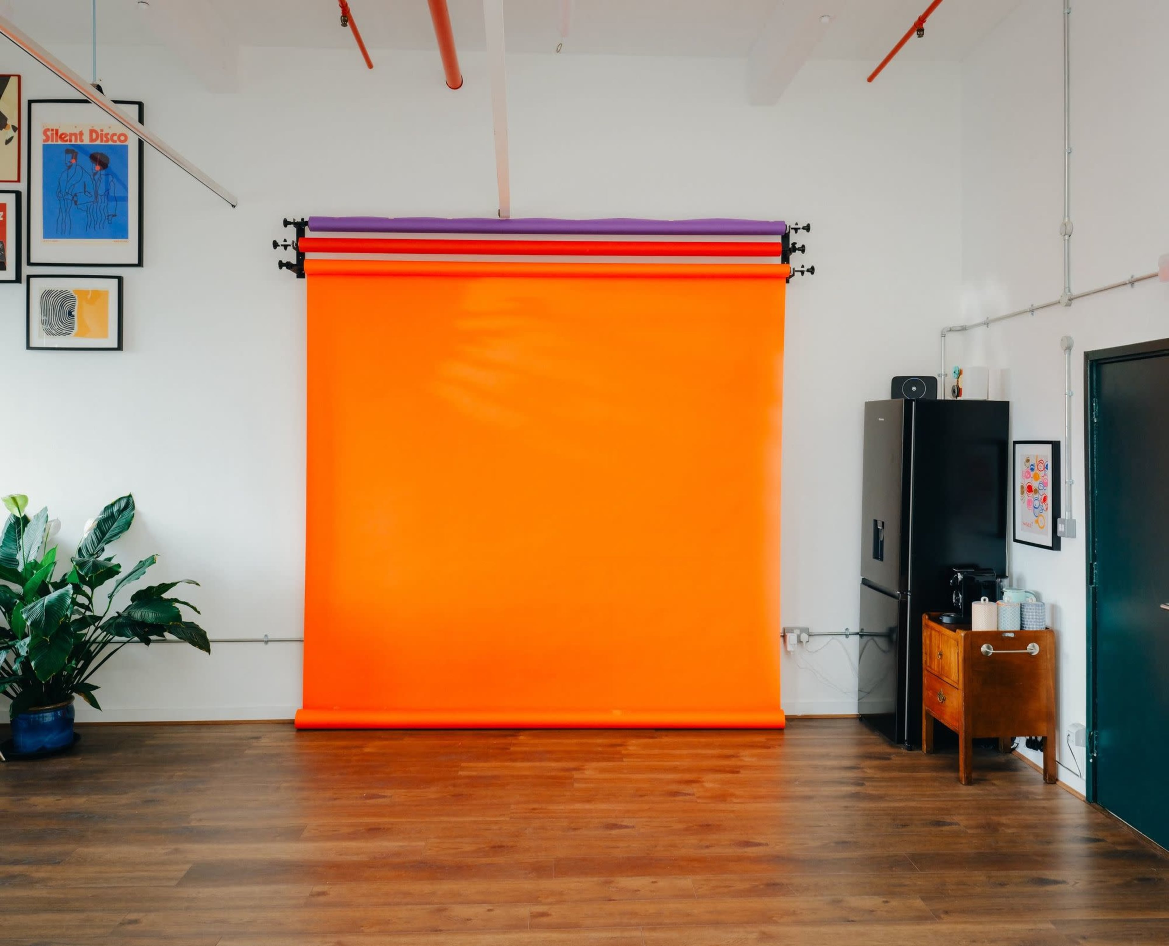 The image shows a studio space with an orange backdrop, wooden flooring, and a plant, along with framed artwork on the walls.