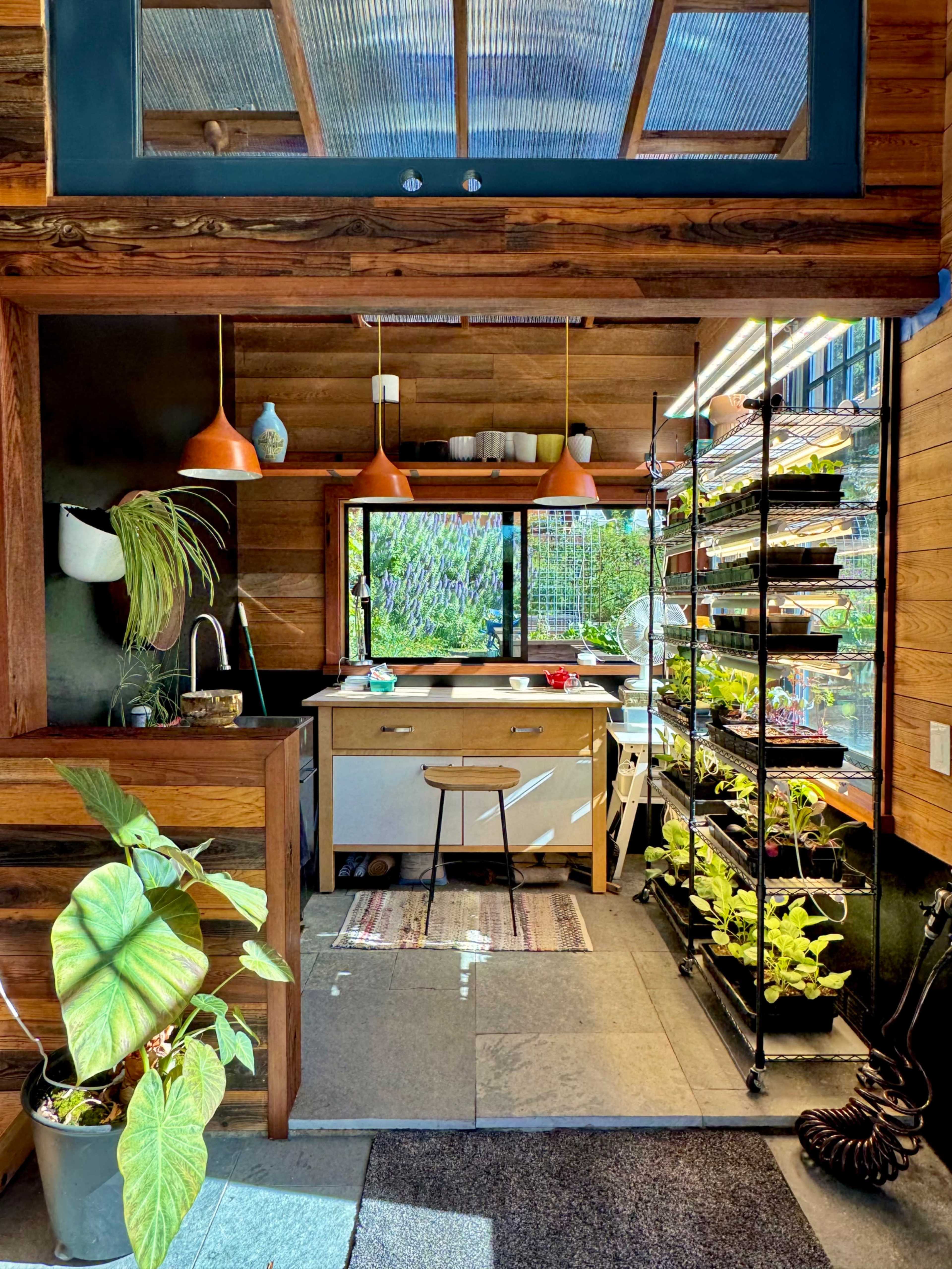 A spacious kitchen with wooden walls features a window view of plants, hanging lights, and a vertical garden on a metal shelf.