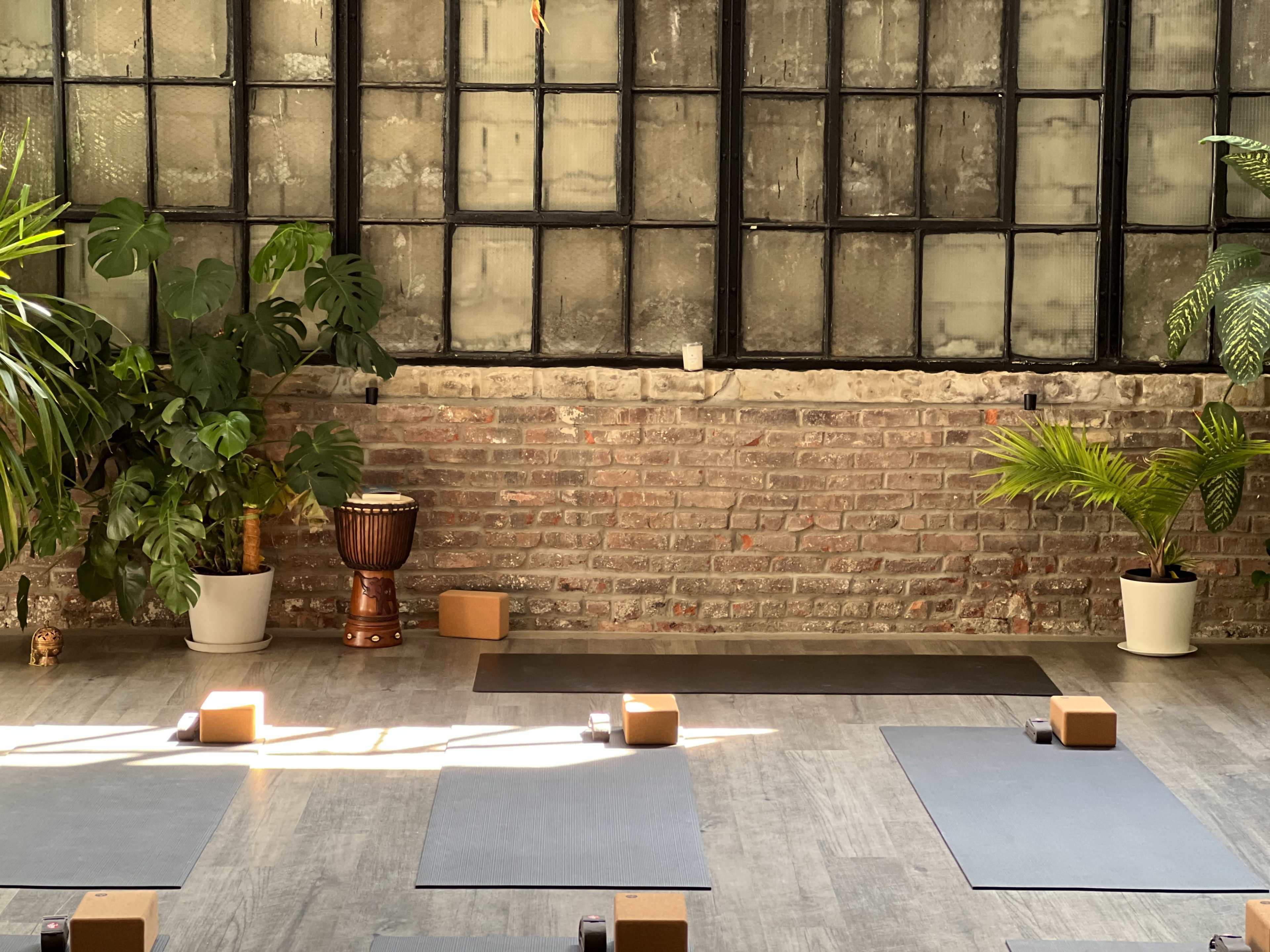 A yoga studio with wooden yoga mats arranged on a wooden floor, surrounded by plants and a brick wall with large windows.