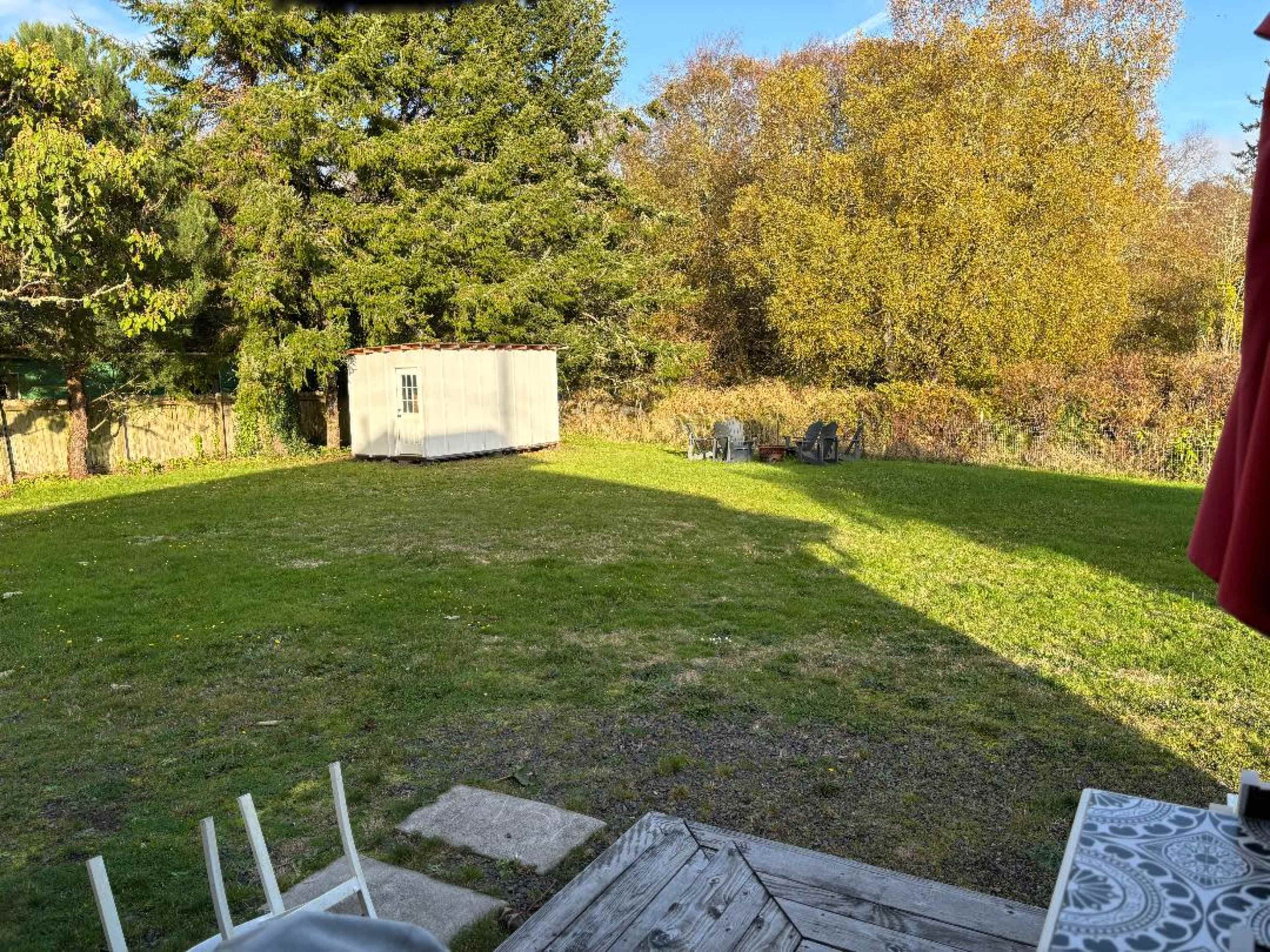 The image shows a grassy backyard with a storage shed, a few chairs in the background, and trees lining the perimeter.