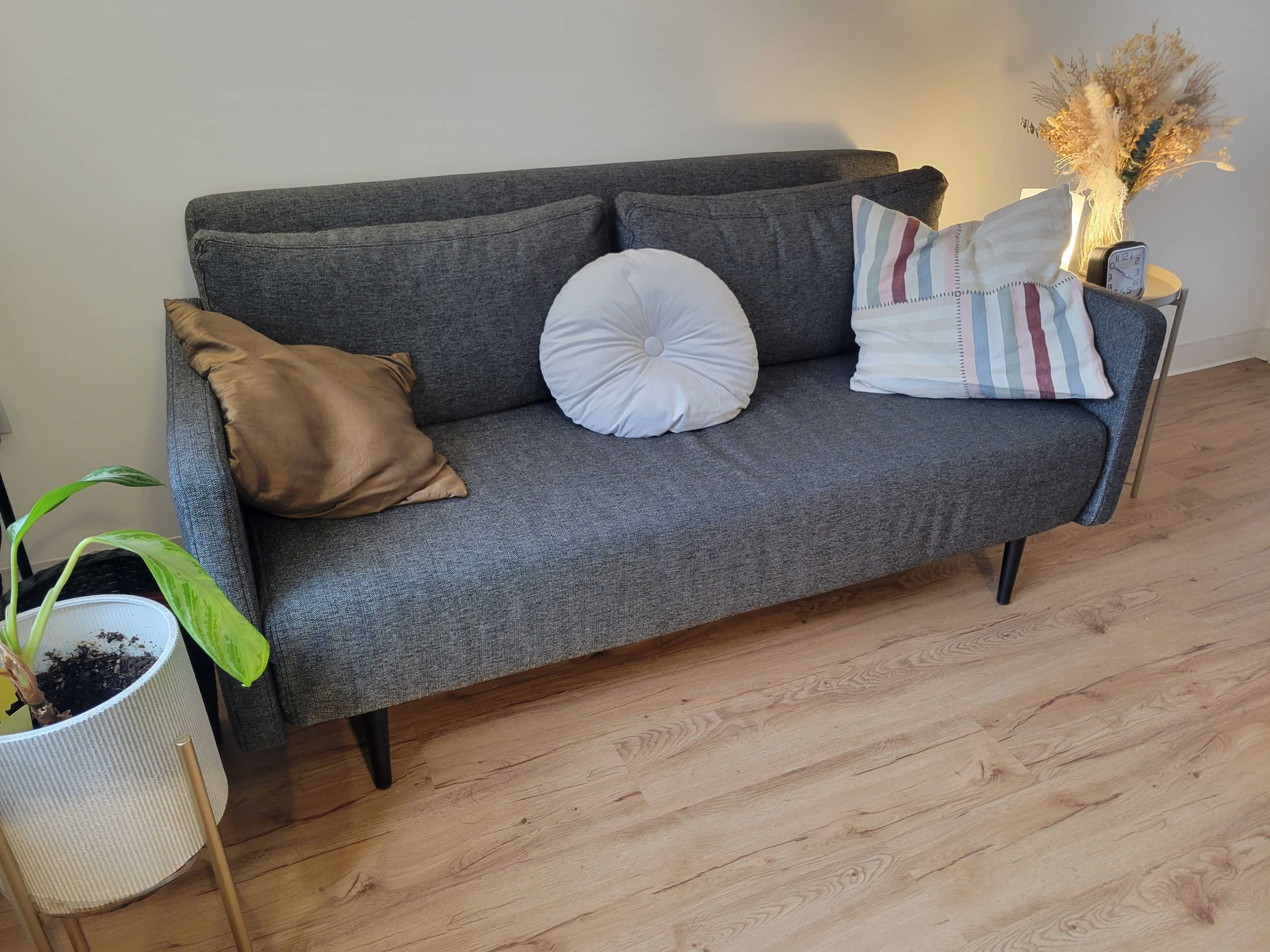 A gray fabric sofa is positioned against a wall, adorned with two decorative pillows and accompanied by a plant in a white pot.
