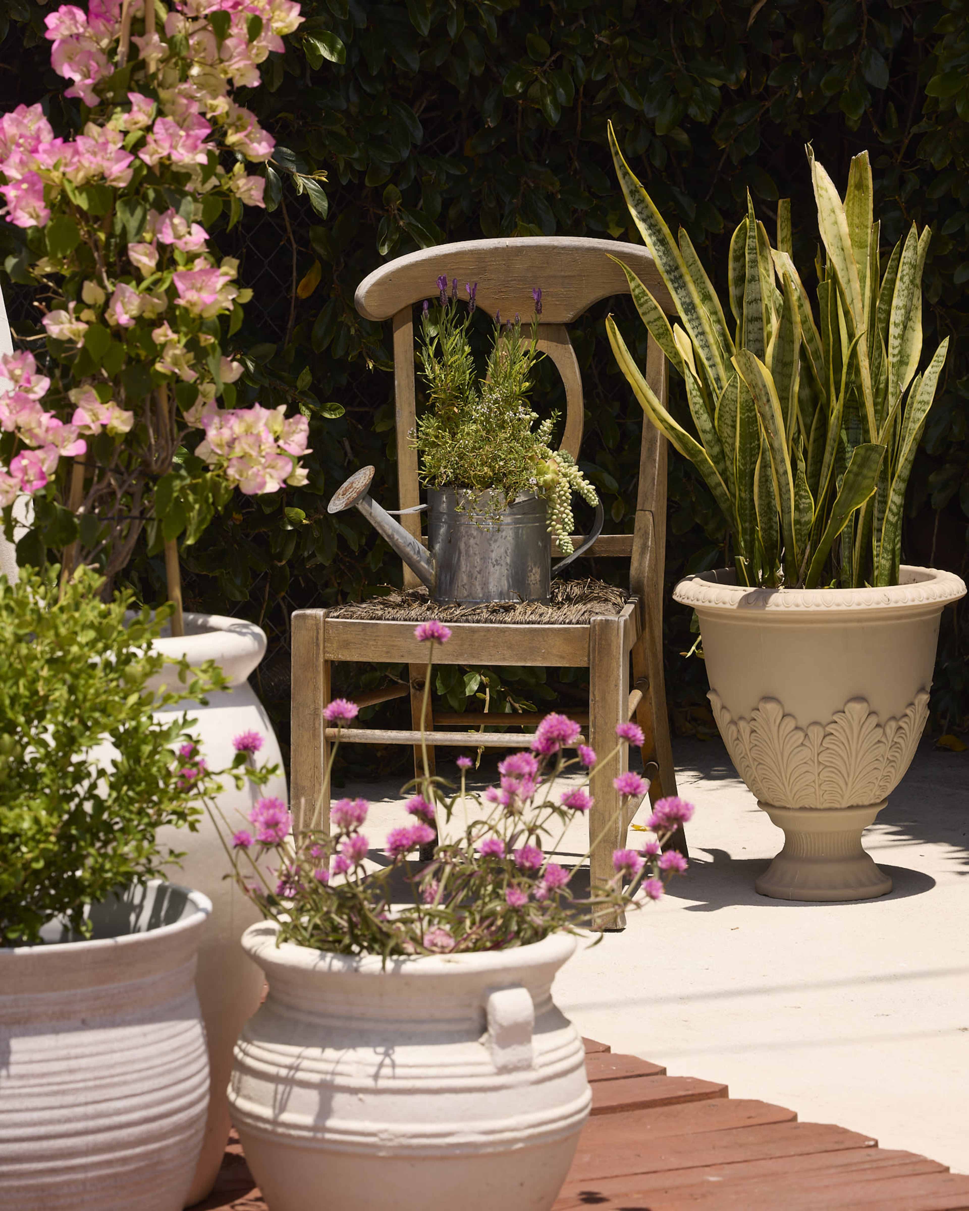 A weathered wooden chair sits in a garden surrounded by various potted plants and flowers.