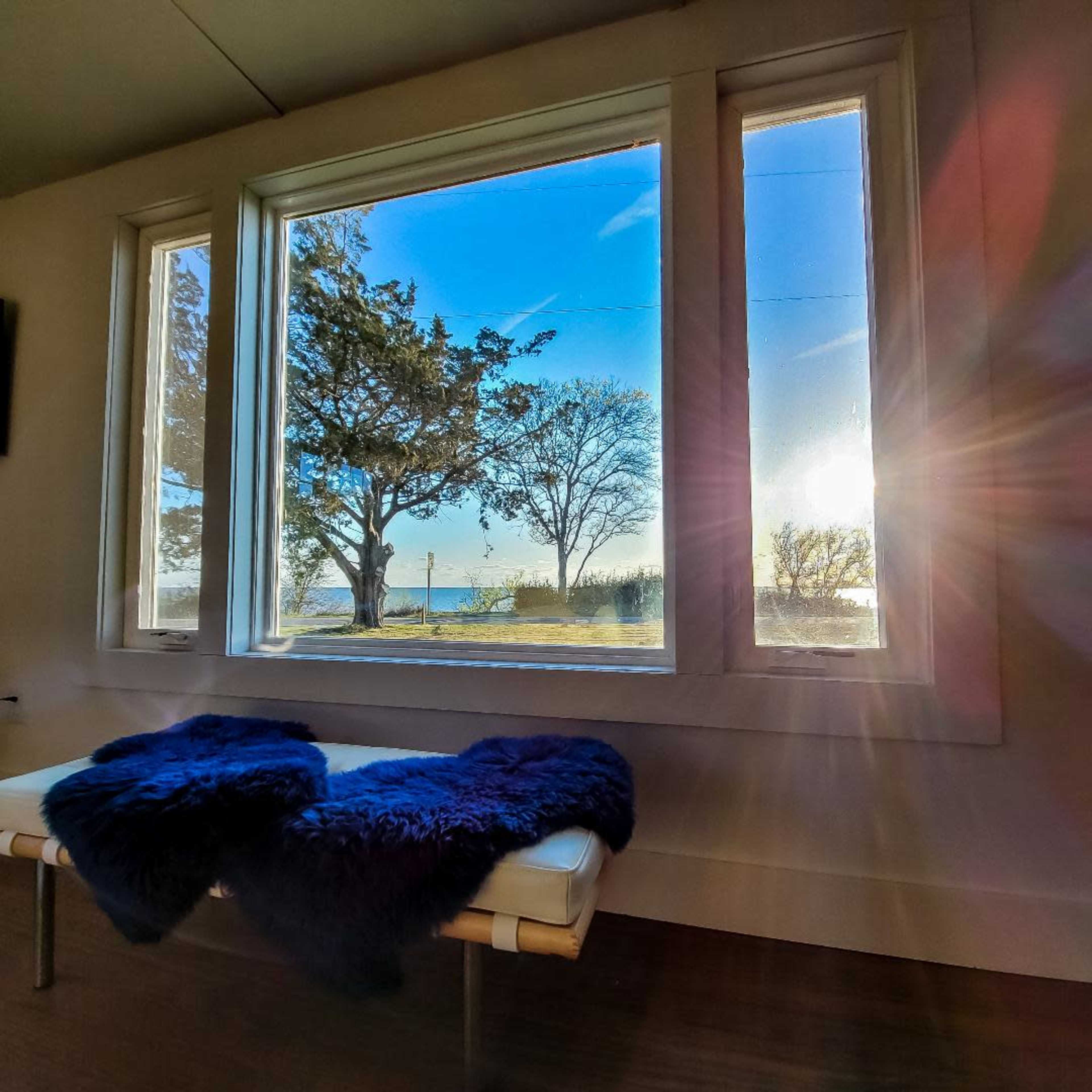 A sunny view from a room with large windows, featuring a grassy area, trees, and a clear blue sky.