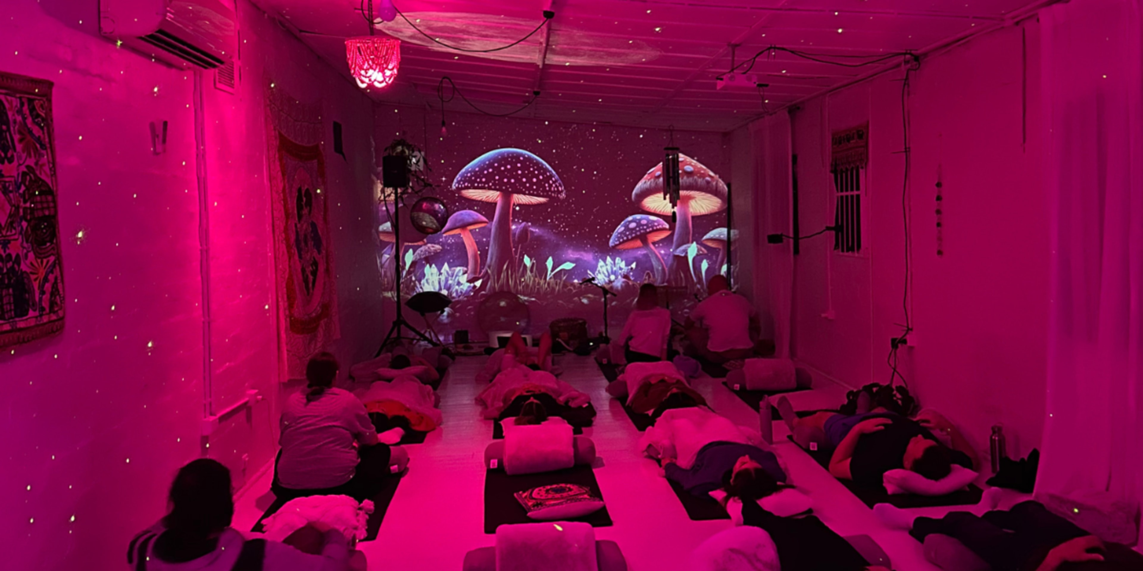 Wellness Studio Windsor Image in Windsor, Windsor, VIC