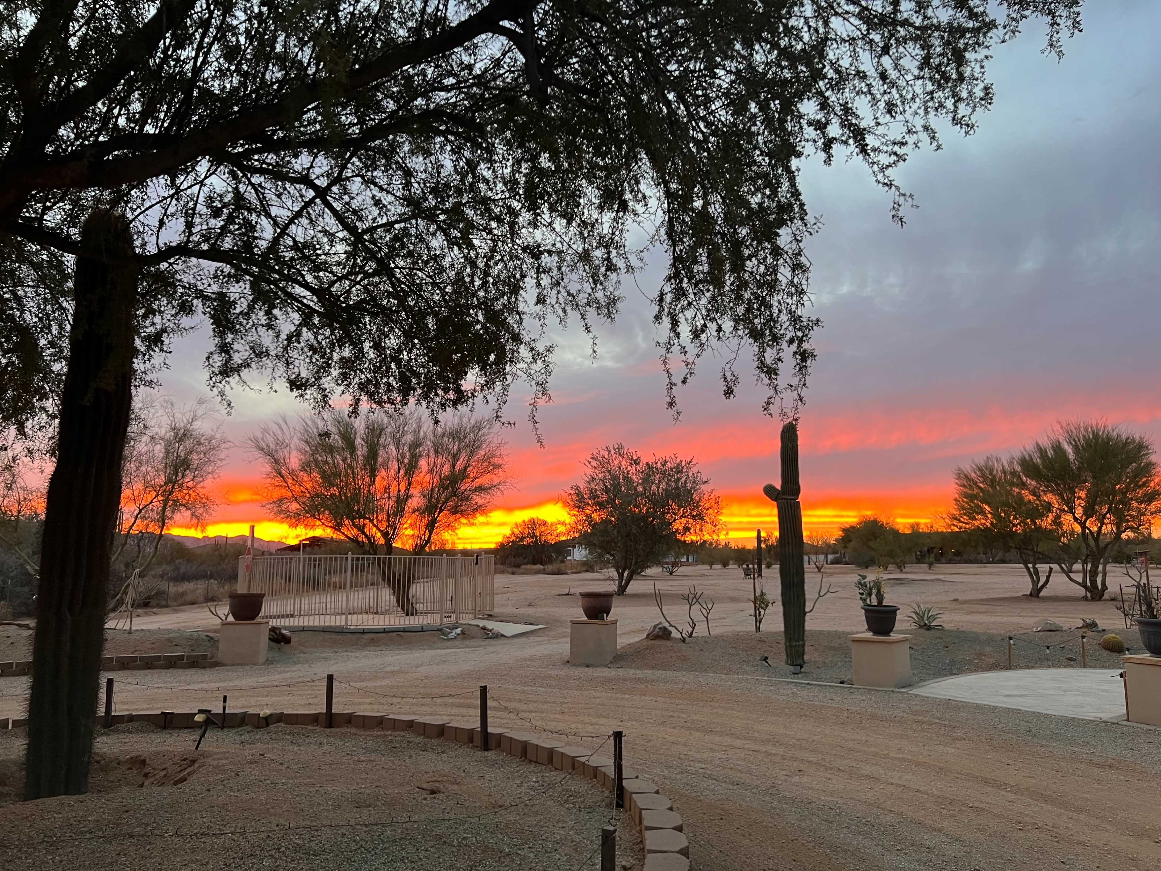 The scene shows a desert landscape at sunset, featuring a vibrant orange and pink sky, cacti, and sparse vegetation.
