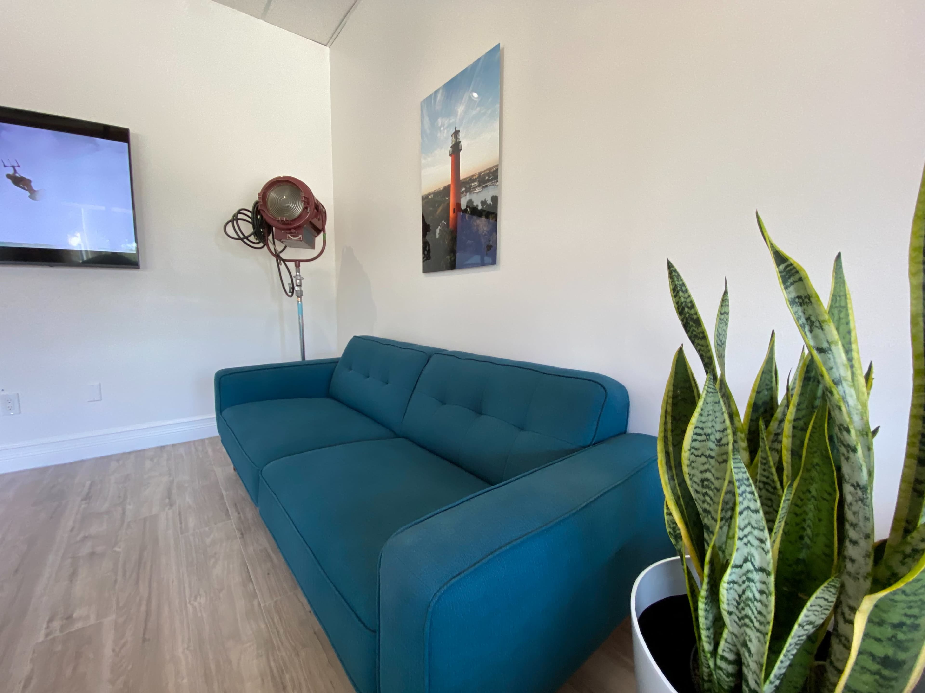 A modern, blue sofa next to a potted snake plant, with a television displaying a scene on the wall.