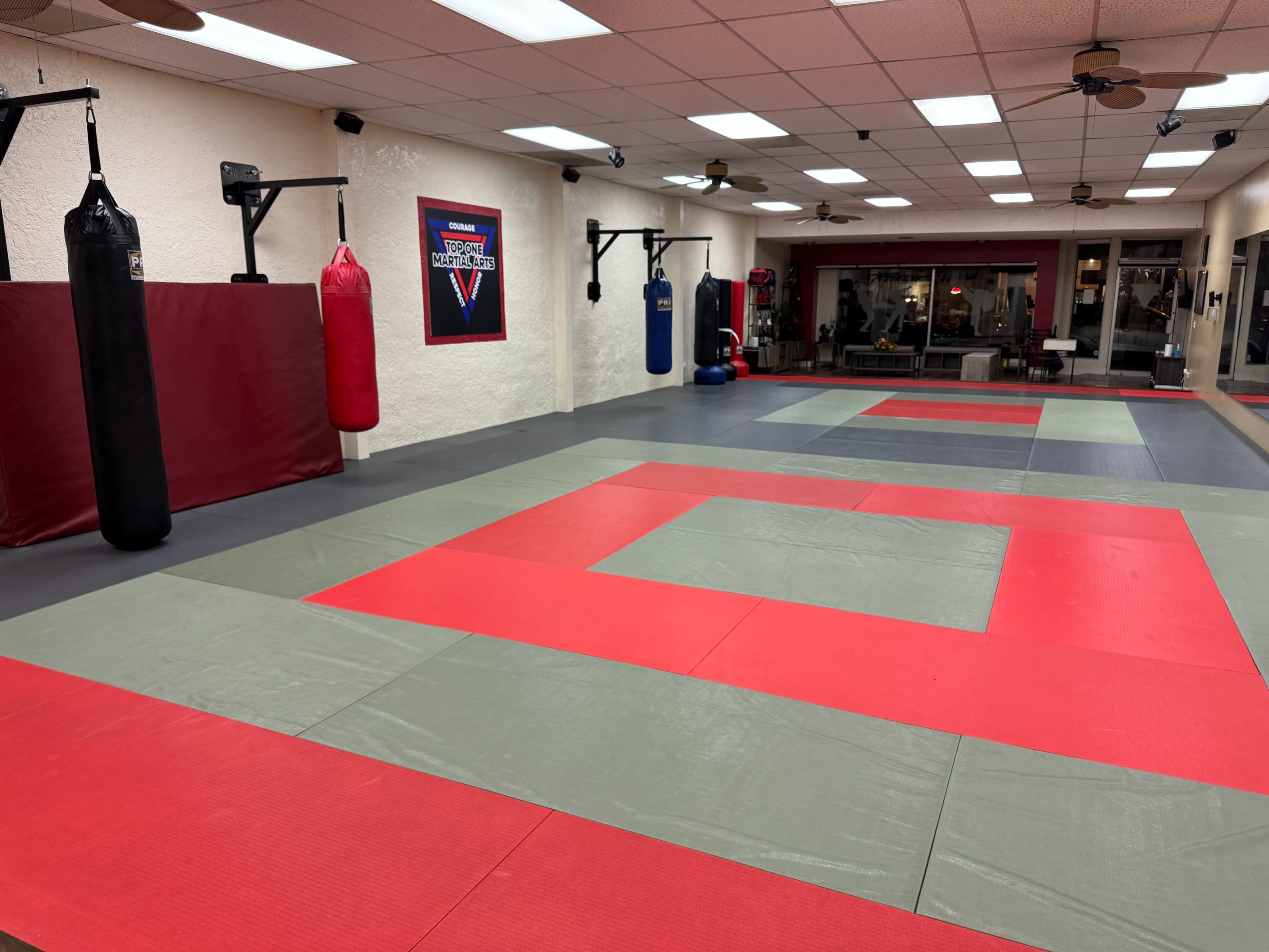 A martial arts gym with colored mats, punching bags, and a wall-mounted poster.