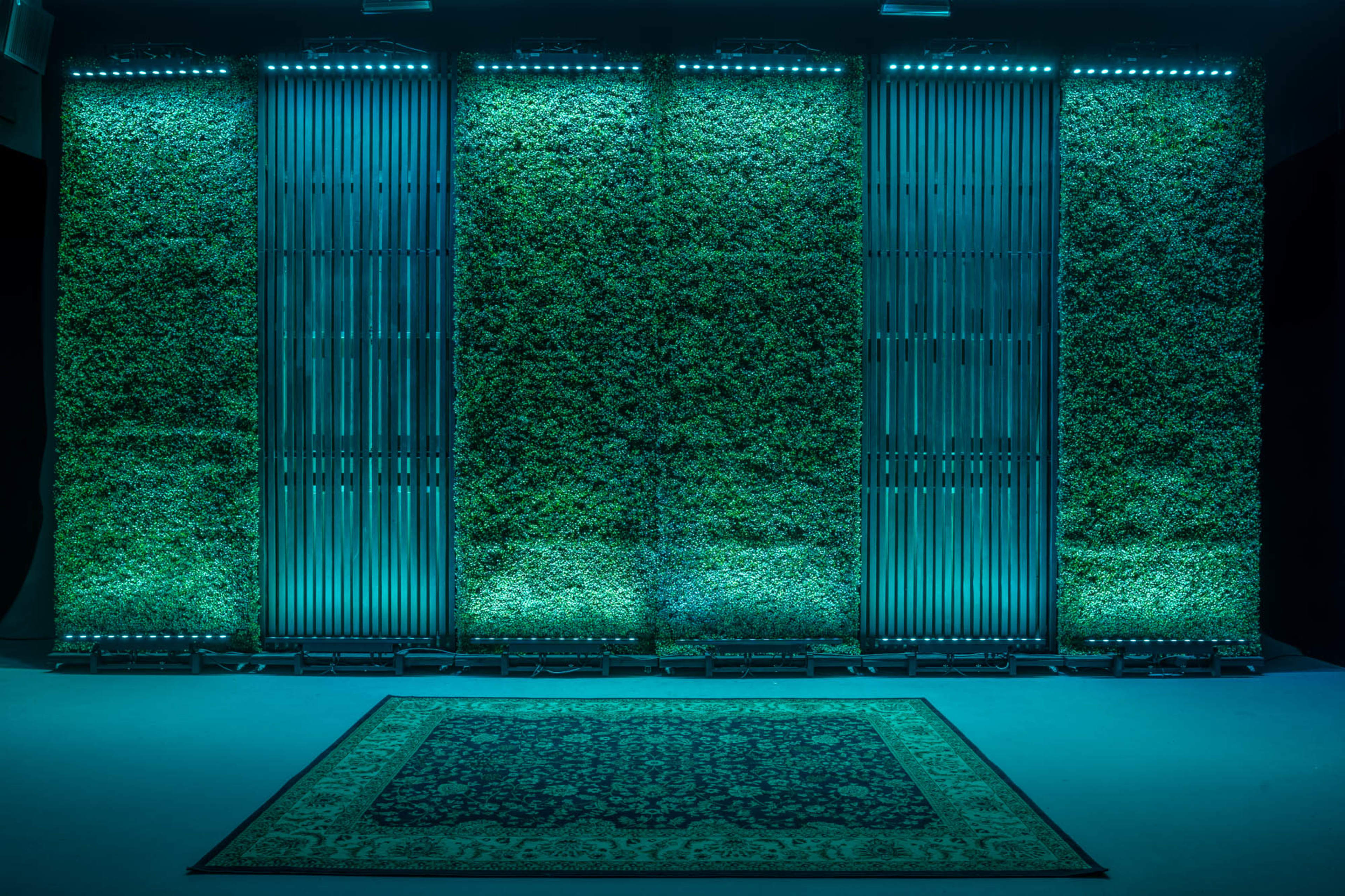 A modern backdrop with green moss-covered panels illuminated by blue LED lights, set in an indoor space with a patterned rug in the foreground.