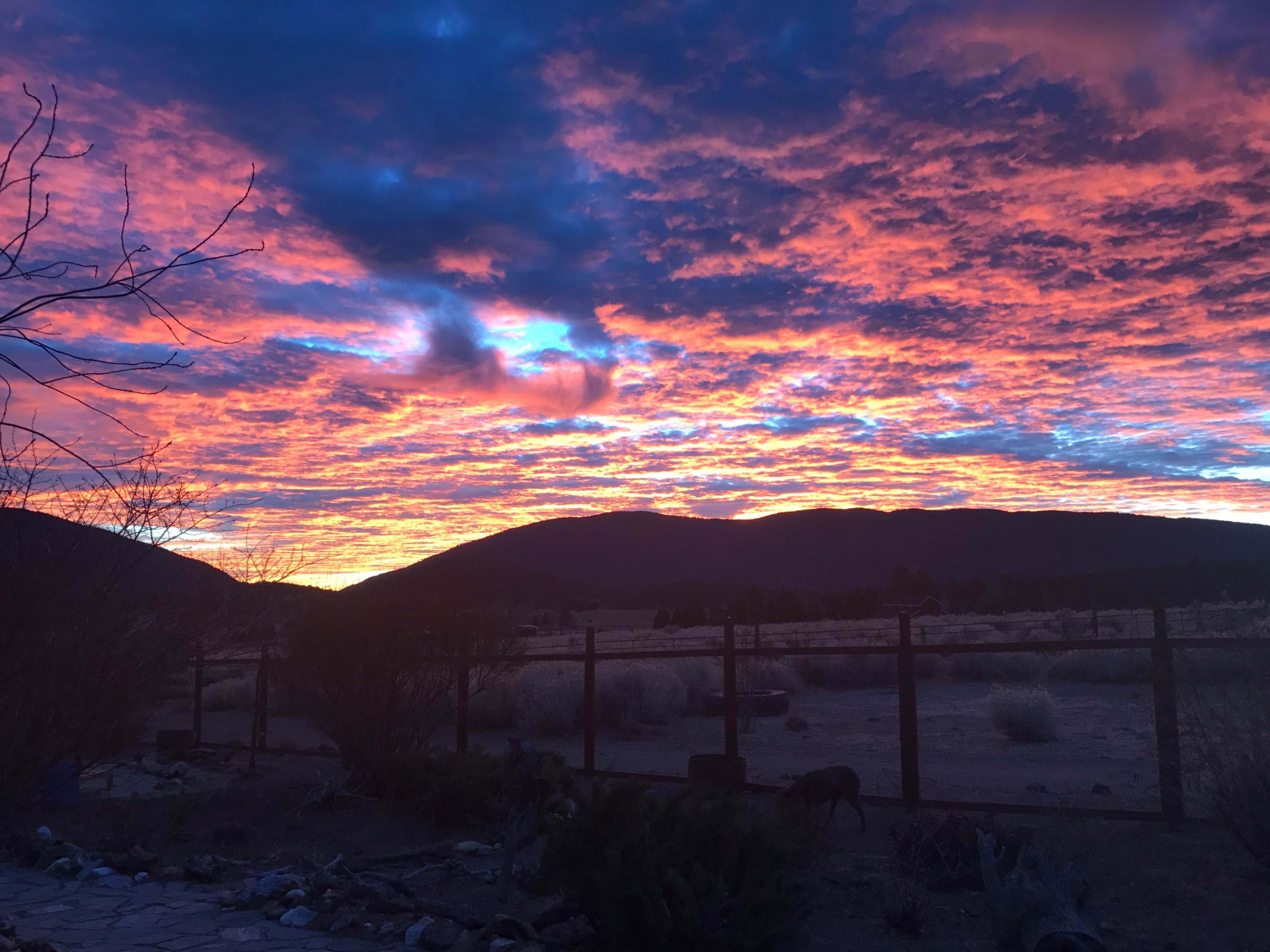 A landscape with a vibrant sunset featuring colorful clouds over a mountain range, framed by a fence and sparse vegetation.