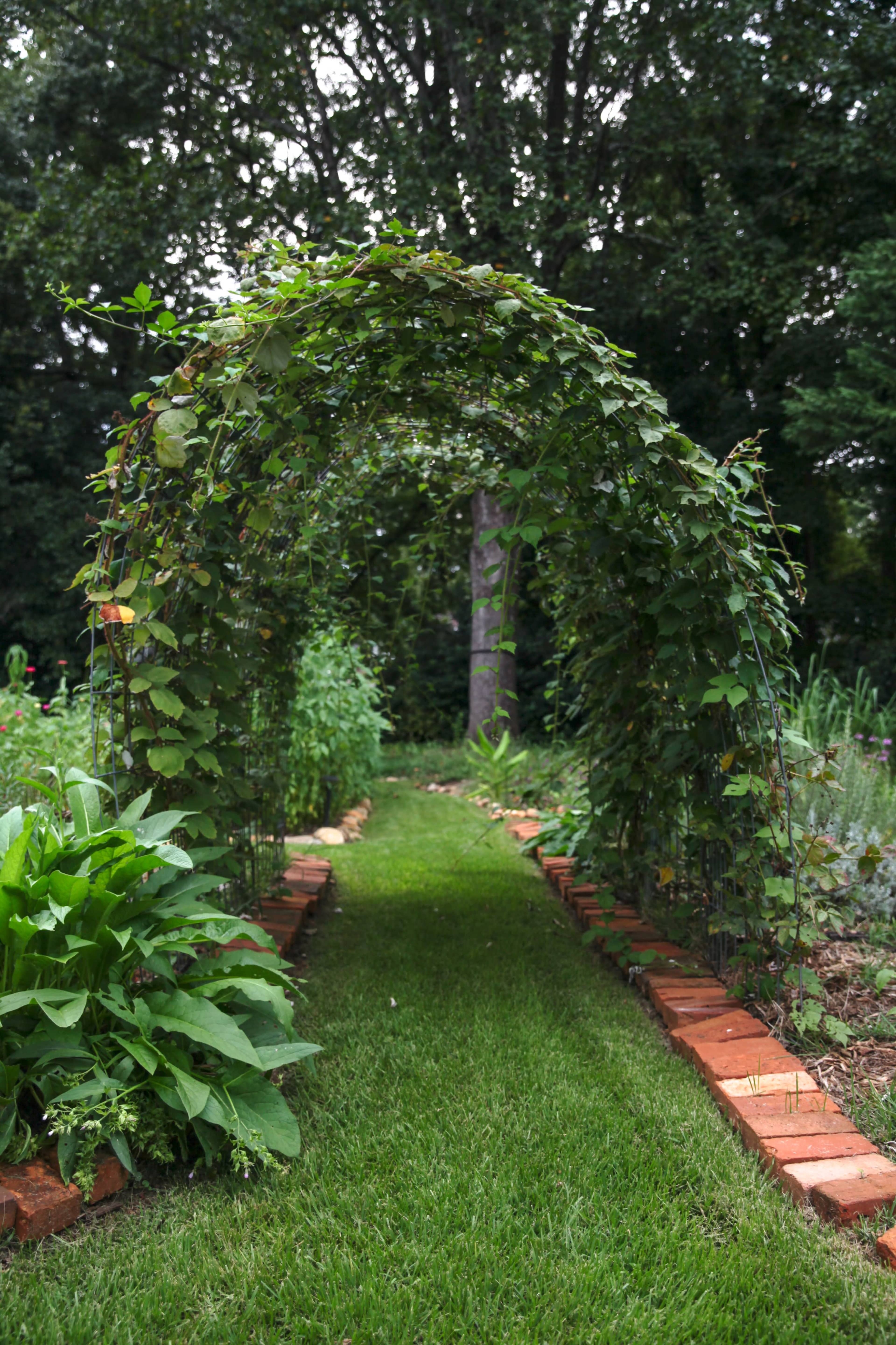 A curved vine-covered archway stands at the entrance of a grassy path bordered by brick.
