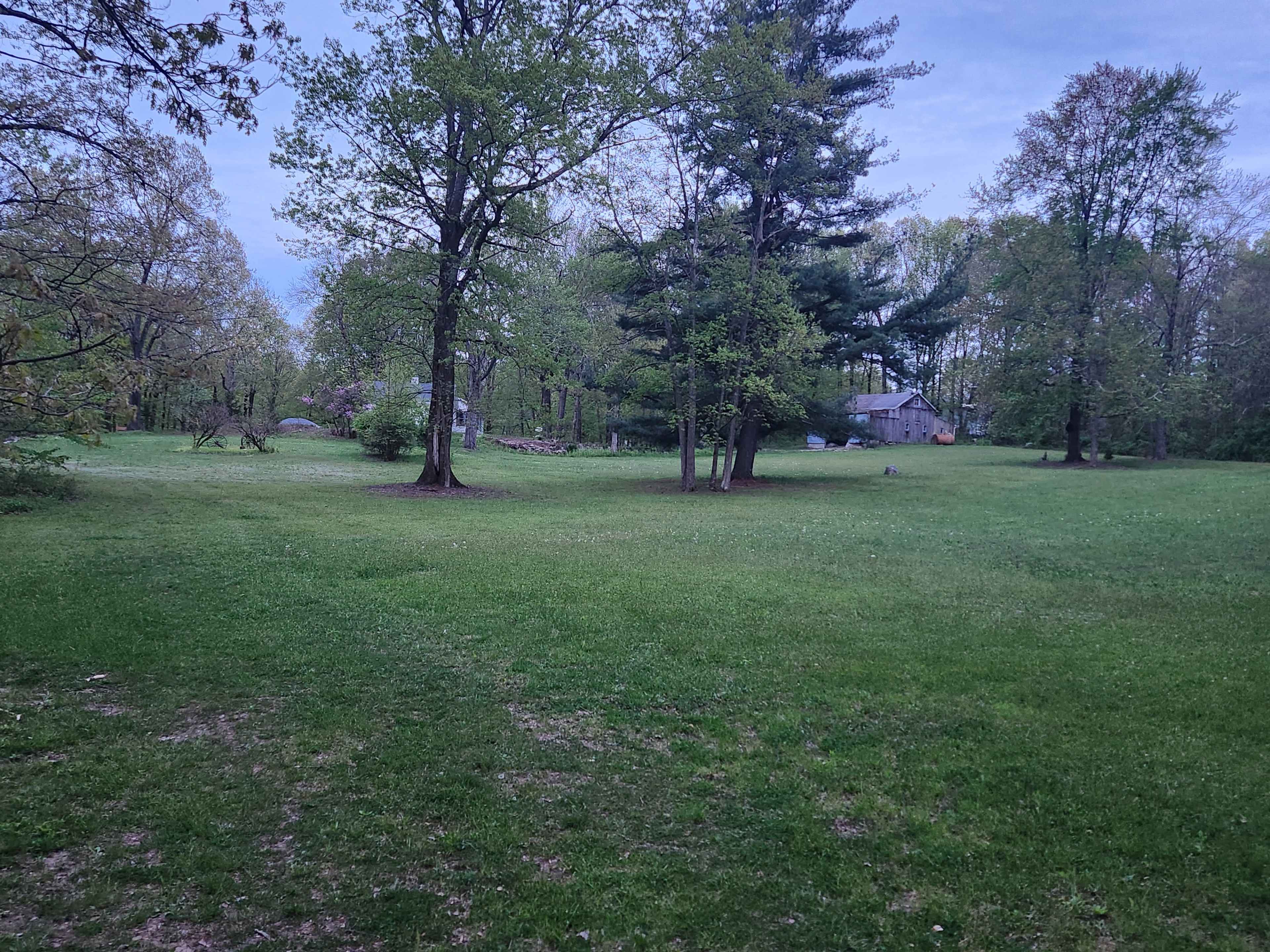 The image shows a grassy field with several trees, a wooden structure in the background, and a clear sky.