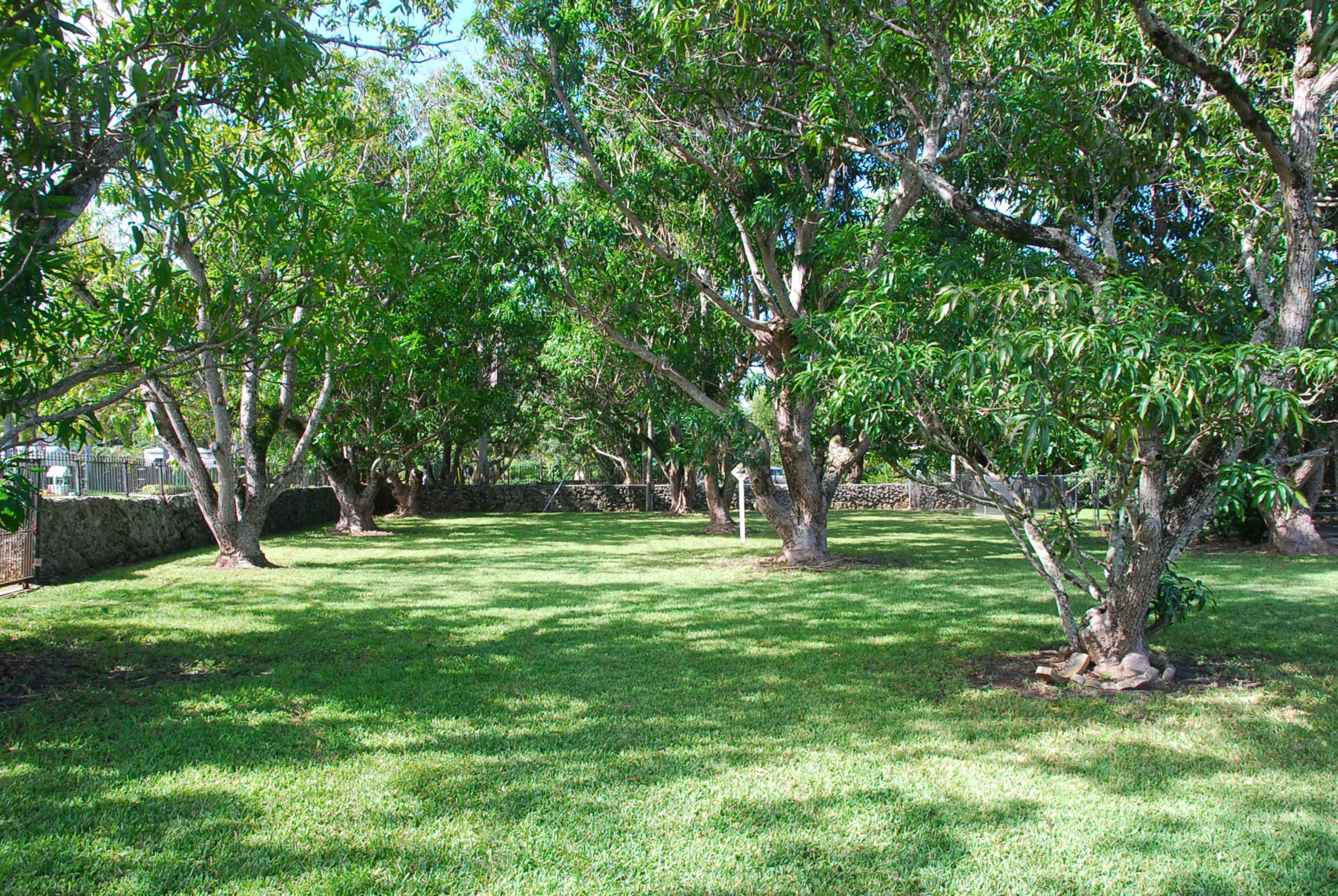 The image shows a grassy area surrounded by several trees in a serene landscape.
