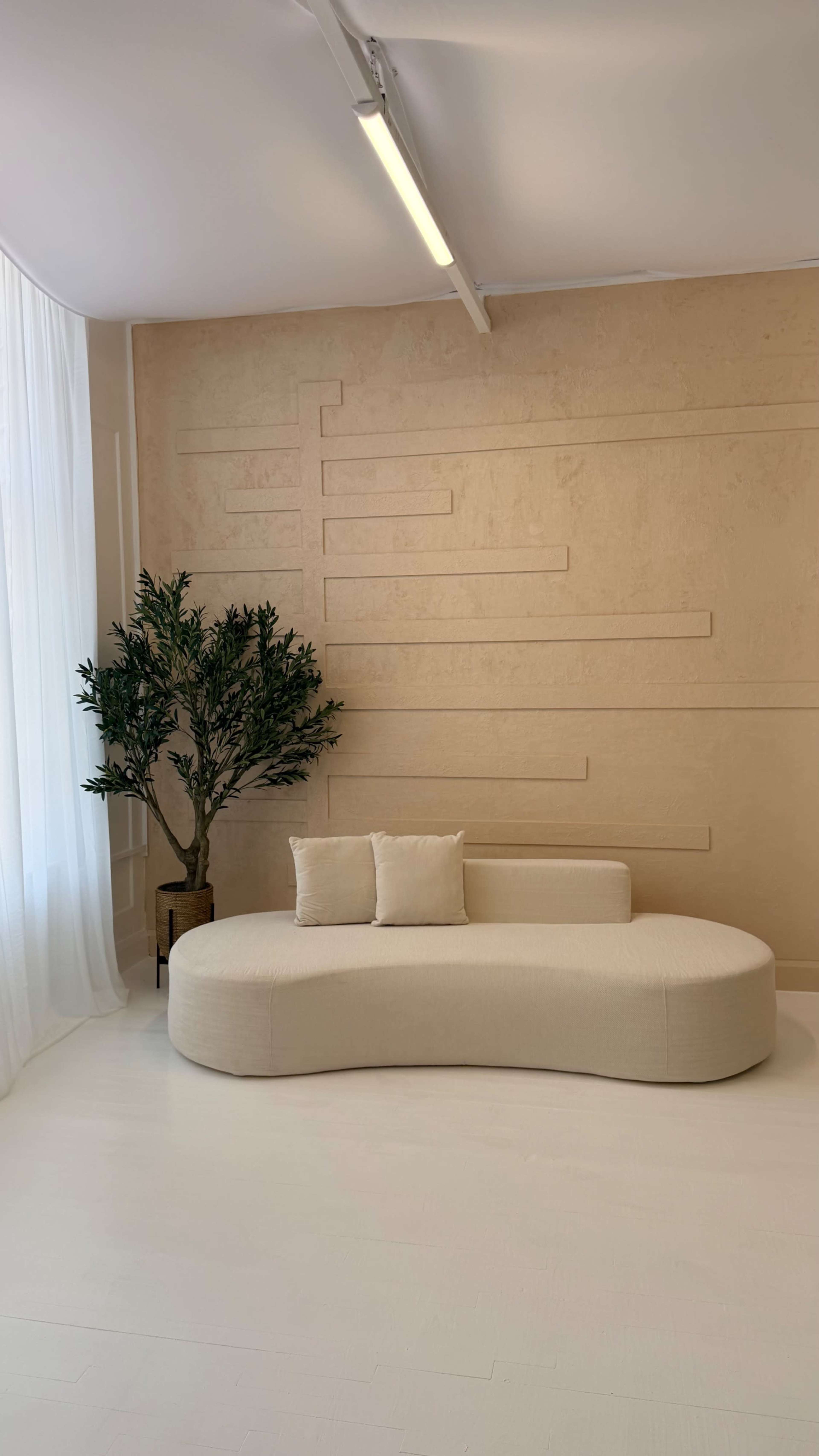 The image shows a modern, curved beige sofa positioned near a large window, accompanied by a small potted tree against a textured beige wall.