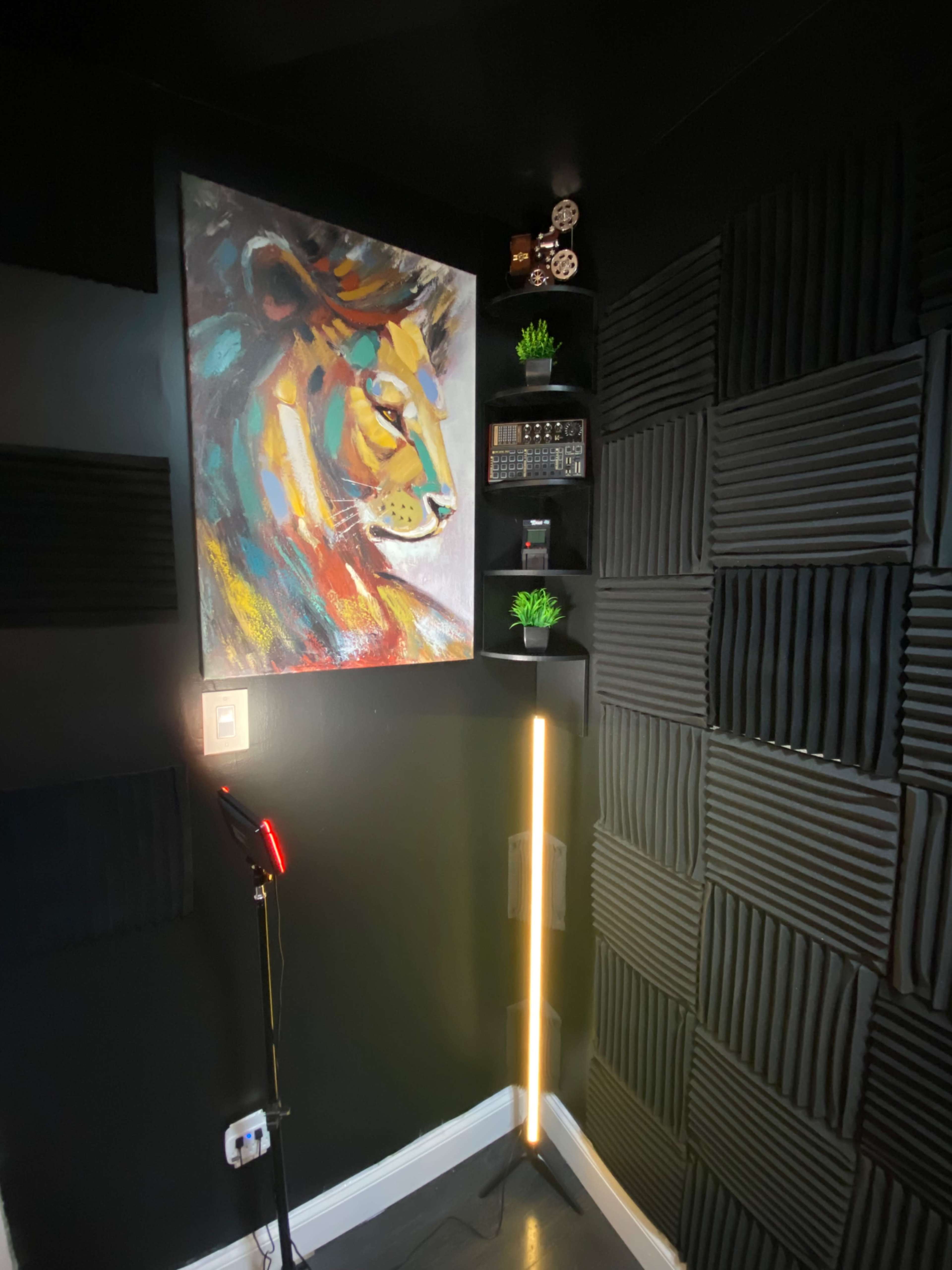 The image shows a corner of a room with black acoustic panels on the walls, a colorful lion painting, a shelf with small plants, and a floor lamp.