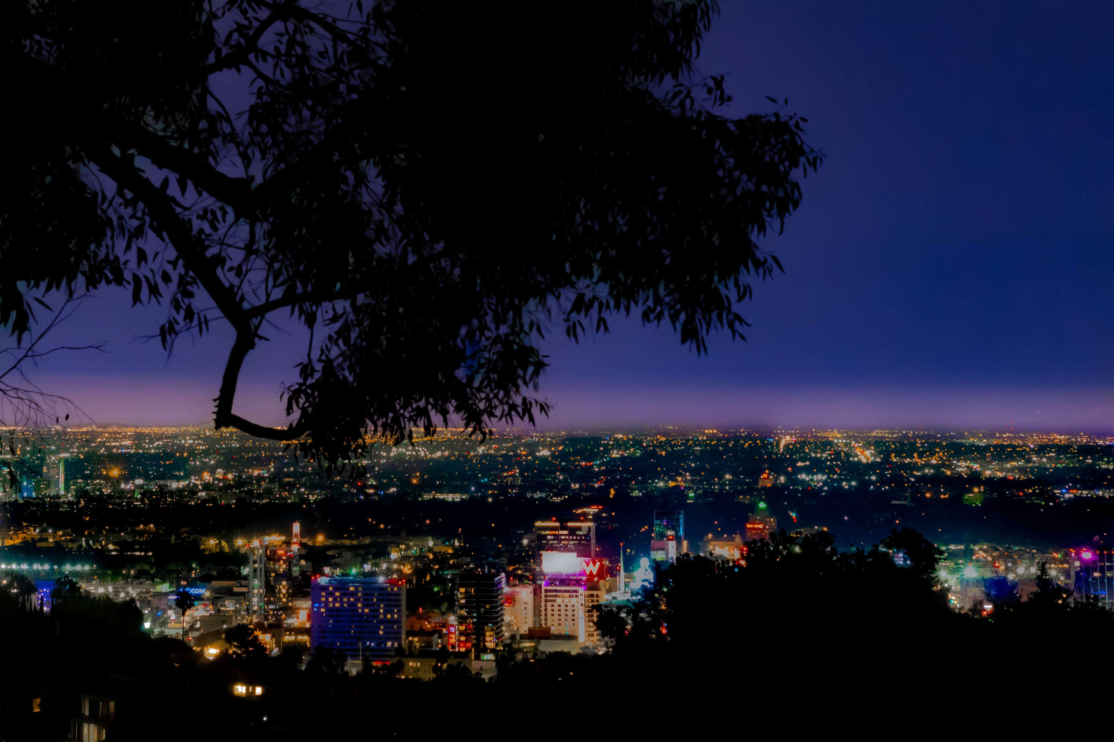A panoramic view of a city skyline illuminated at night, seen from an elevated position framed by tree branches.