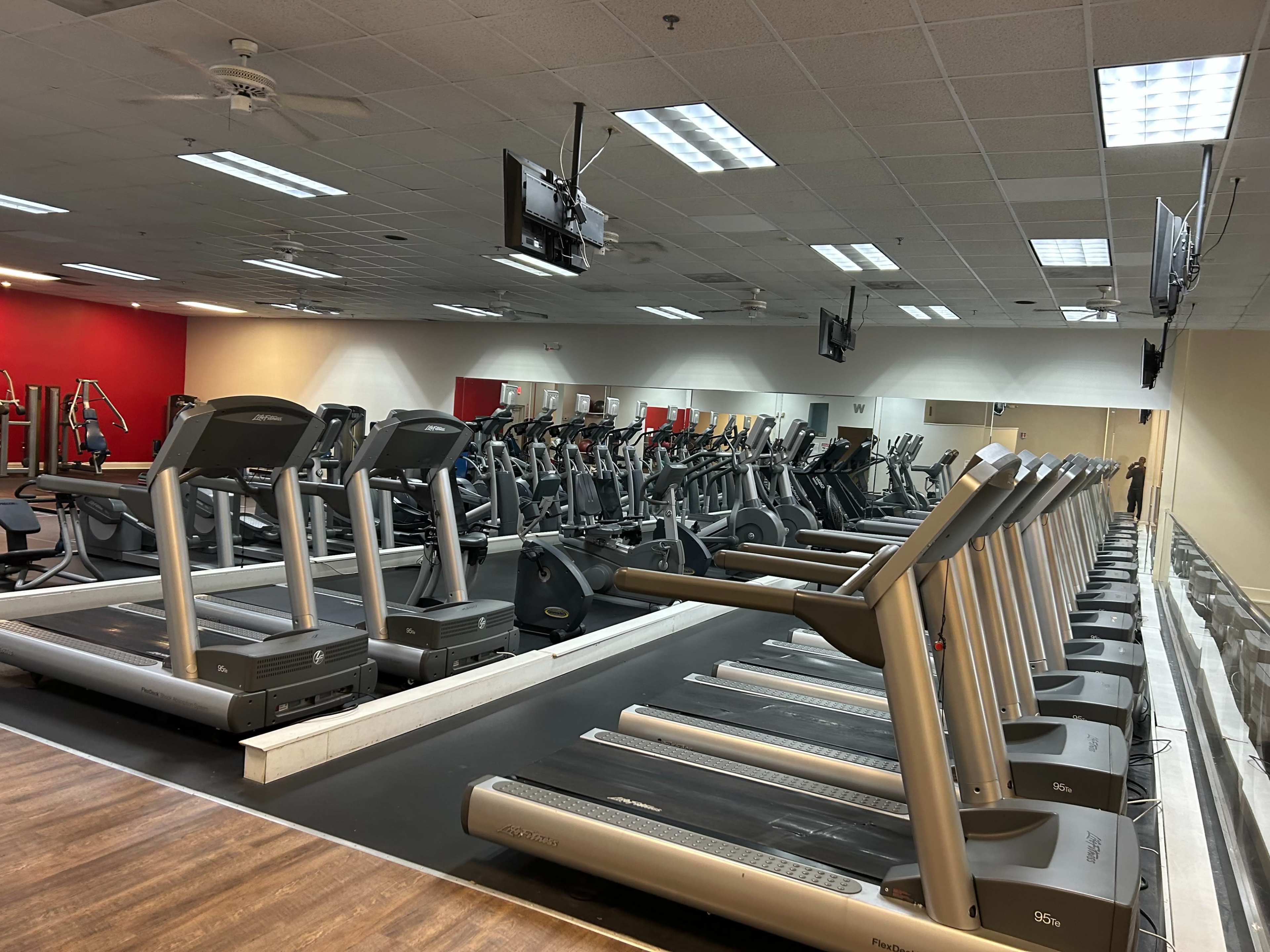 A gym interior with multiple rows of treadmills lined up along a black running surface.