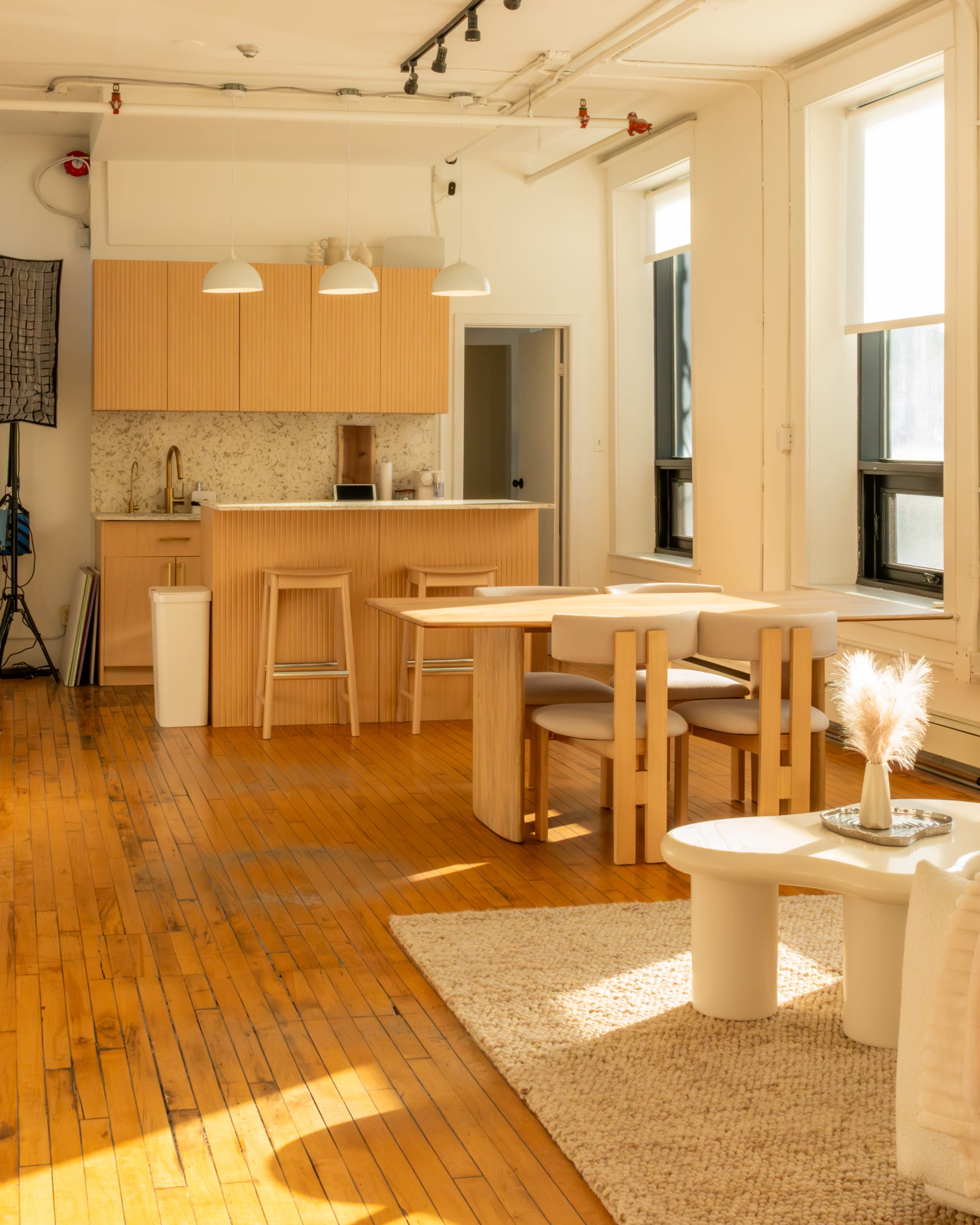 Natural Light Creative Studio Near MOCA Image in Dufferin Grove, Toronto, ON