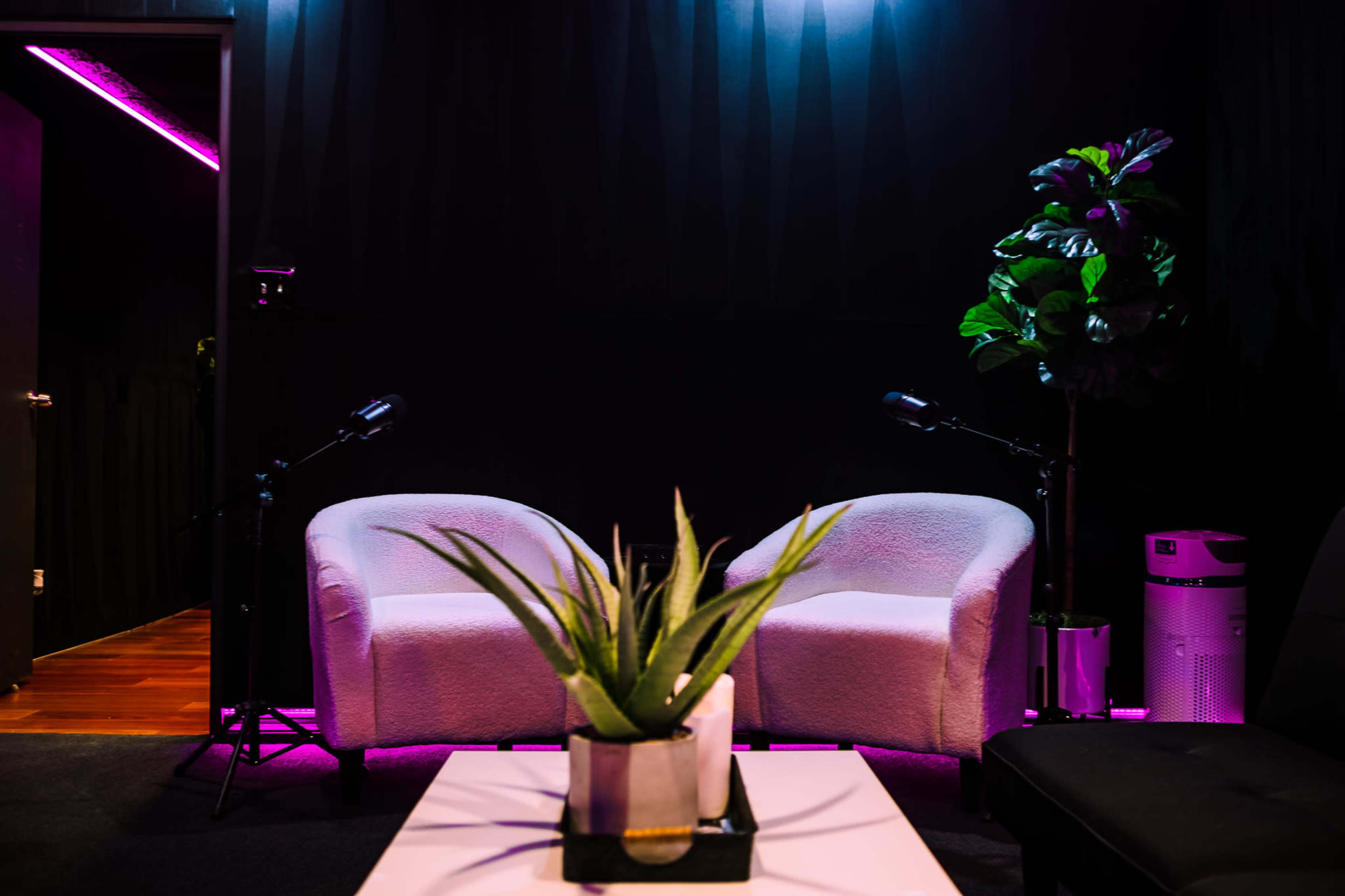 The image shows two white chairs facing each other with a potted plant on a table between them, set in a dimly lit room with purple lighting.