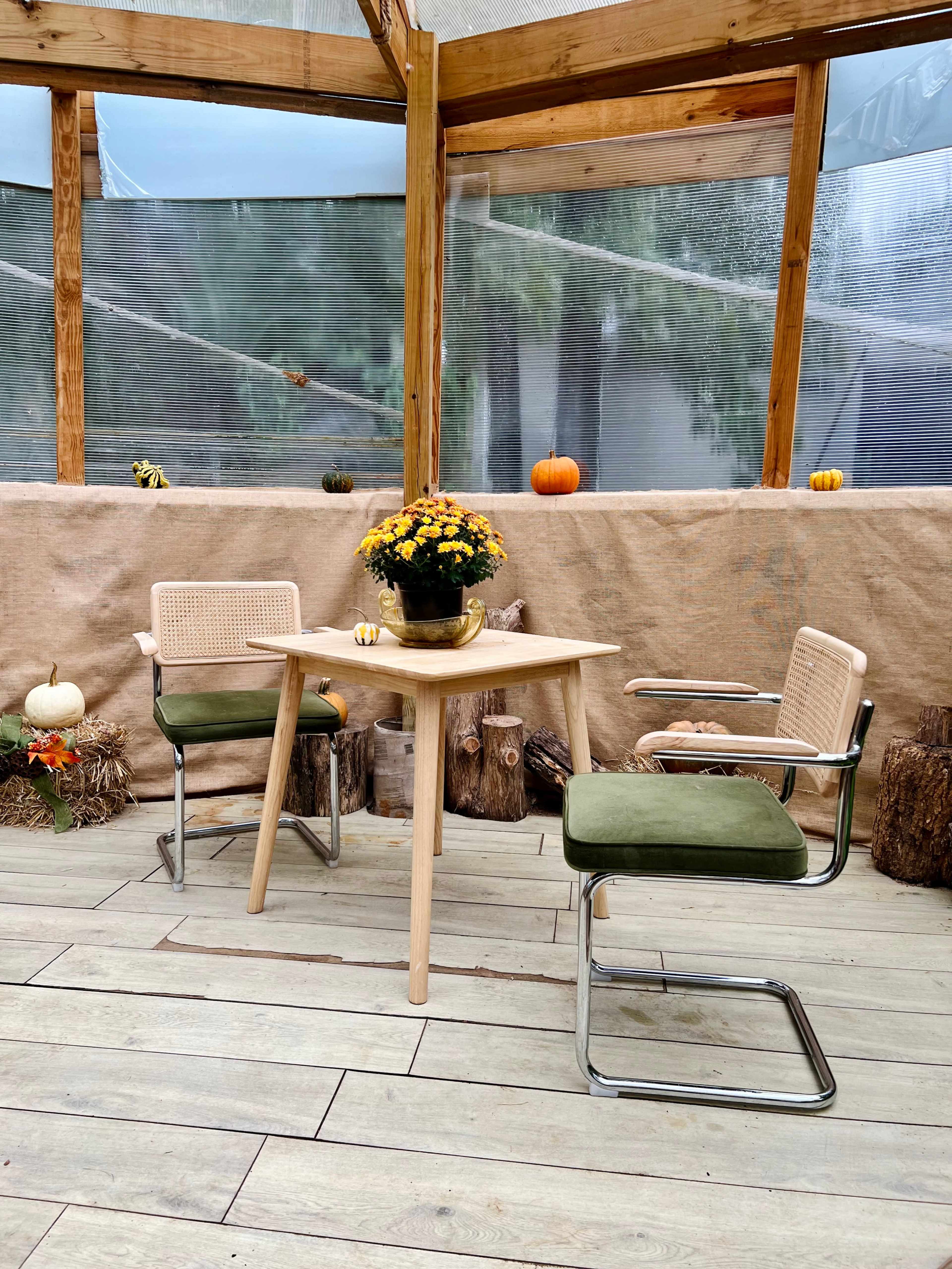Cozy Greenhouse and Rustic Cottage Image in Peppertree Forest, Antioch, TN
