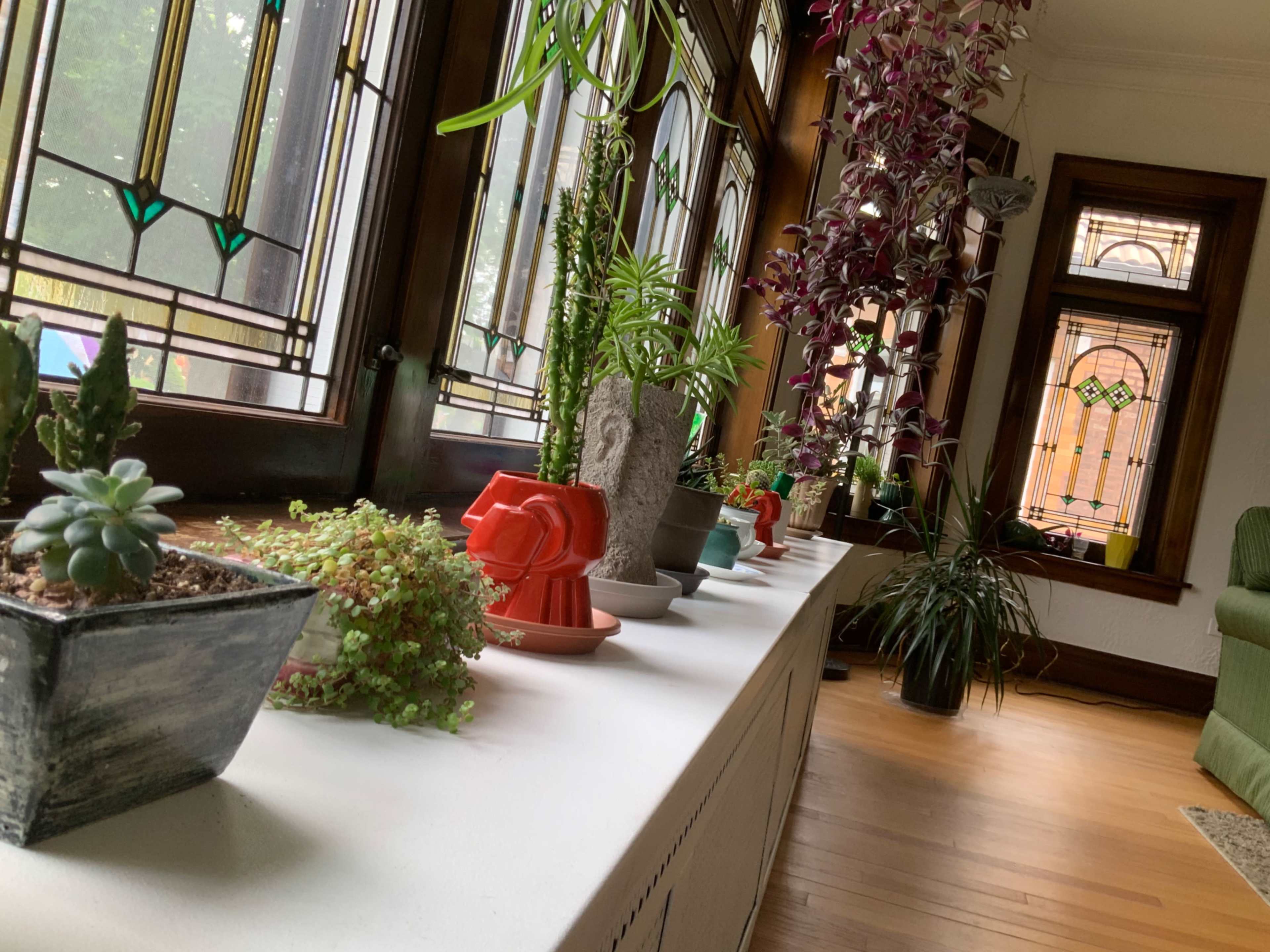 A row of potted plants on a white ledge in a room with stained glass windows and wooden details.