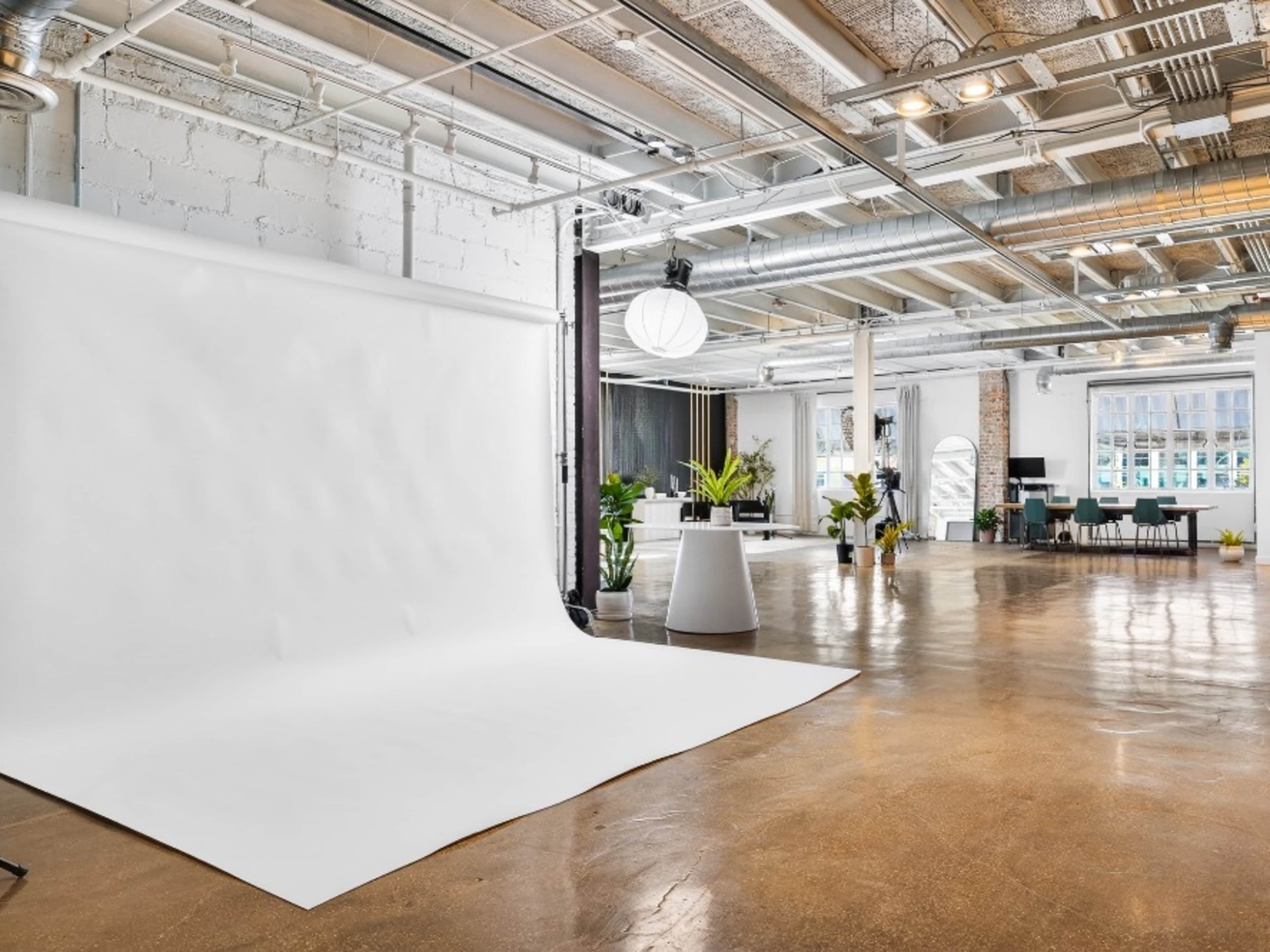 White Paper Backdrop