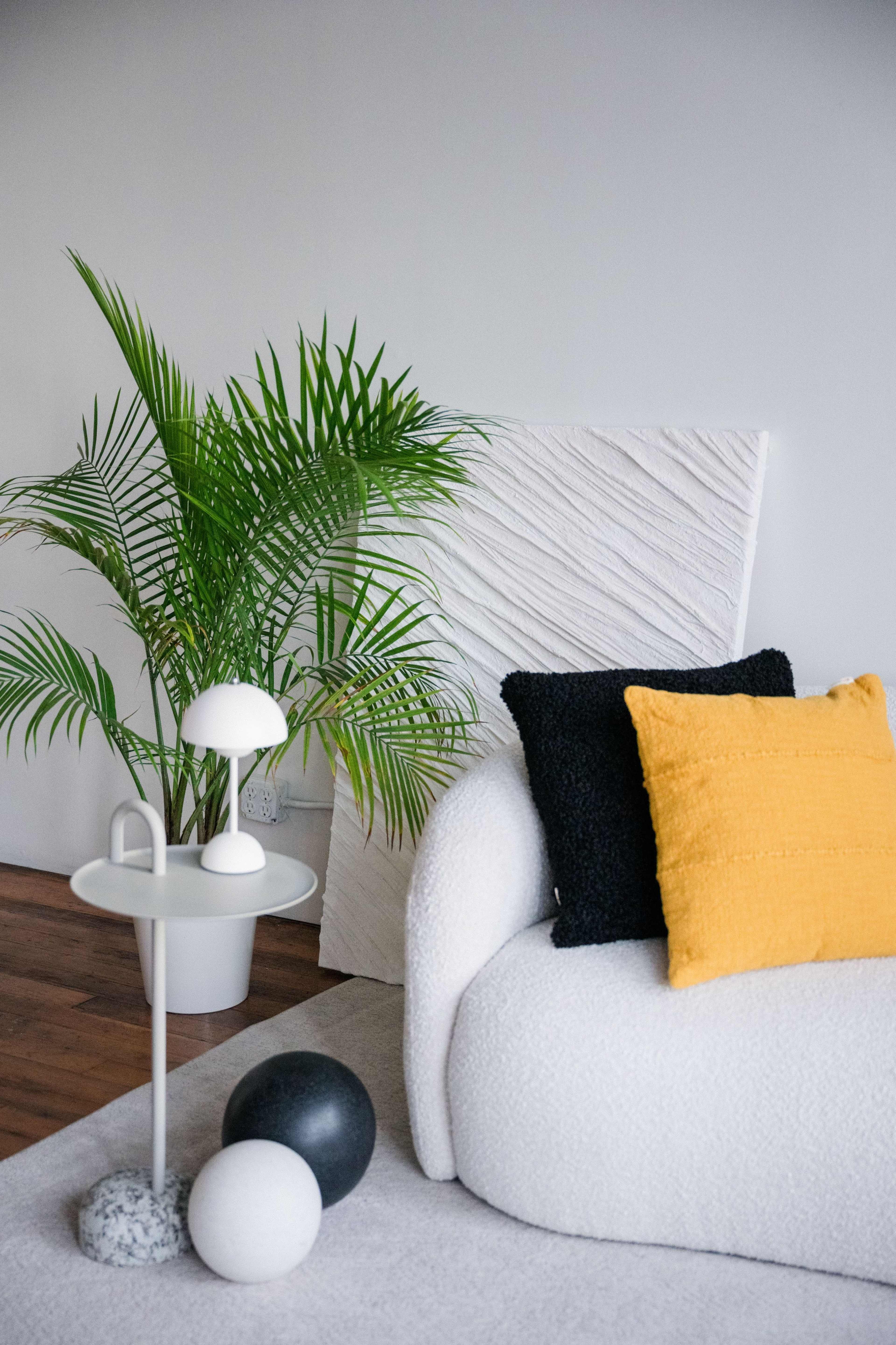 New Cozy & Creative Photography Space in Downtown Seattle Image in Downtown Seattle, Seattle, WA