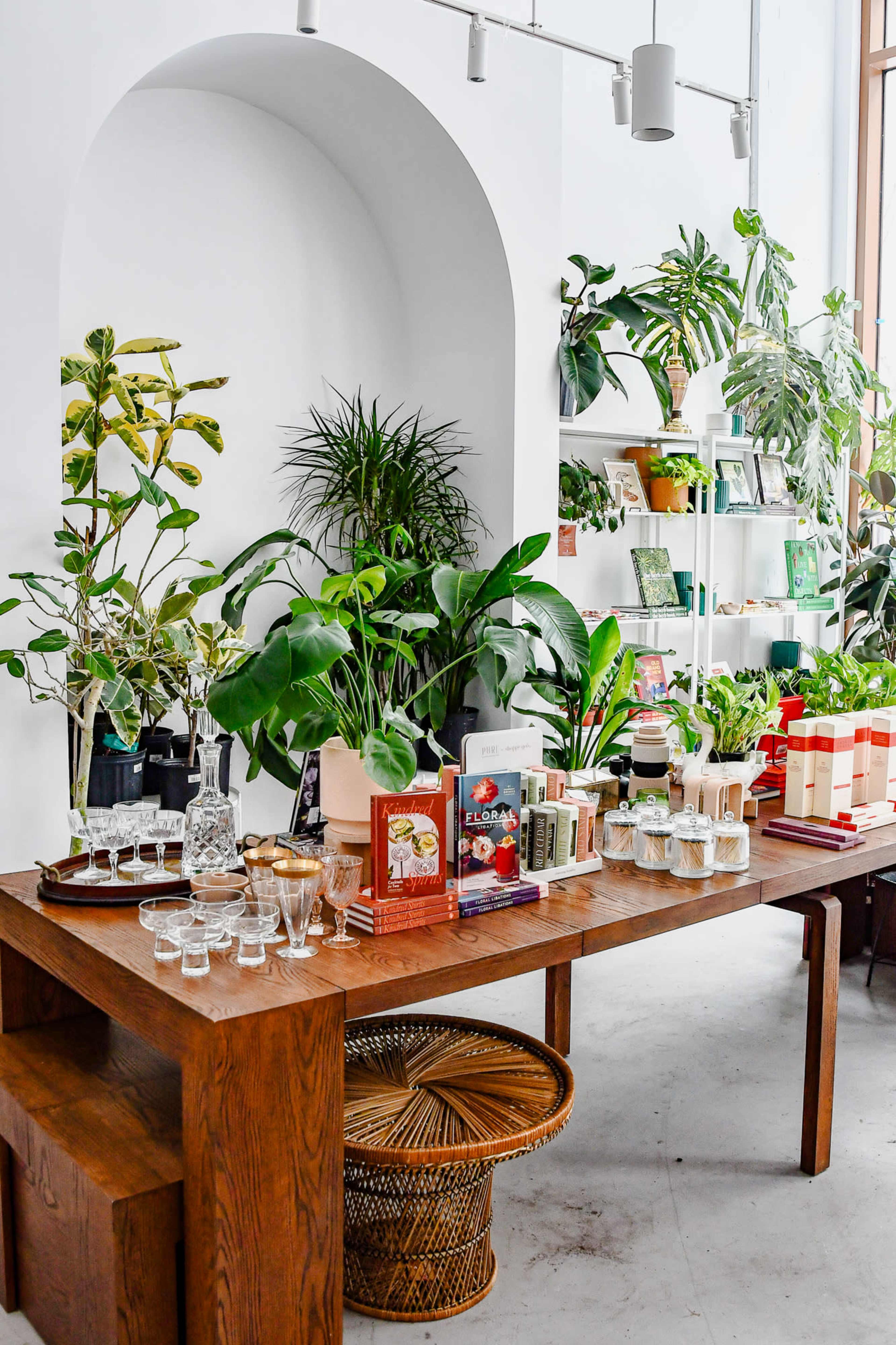 A wooden table displays various plants, candles, and books in a bright, plant-filled interior space.