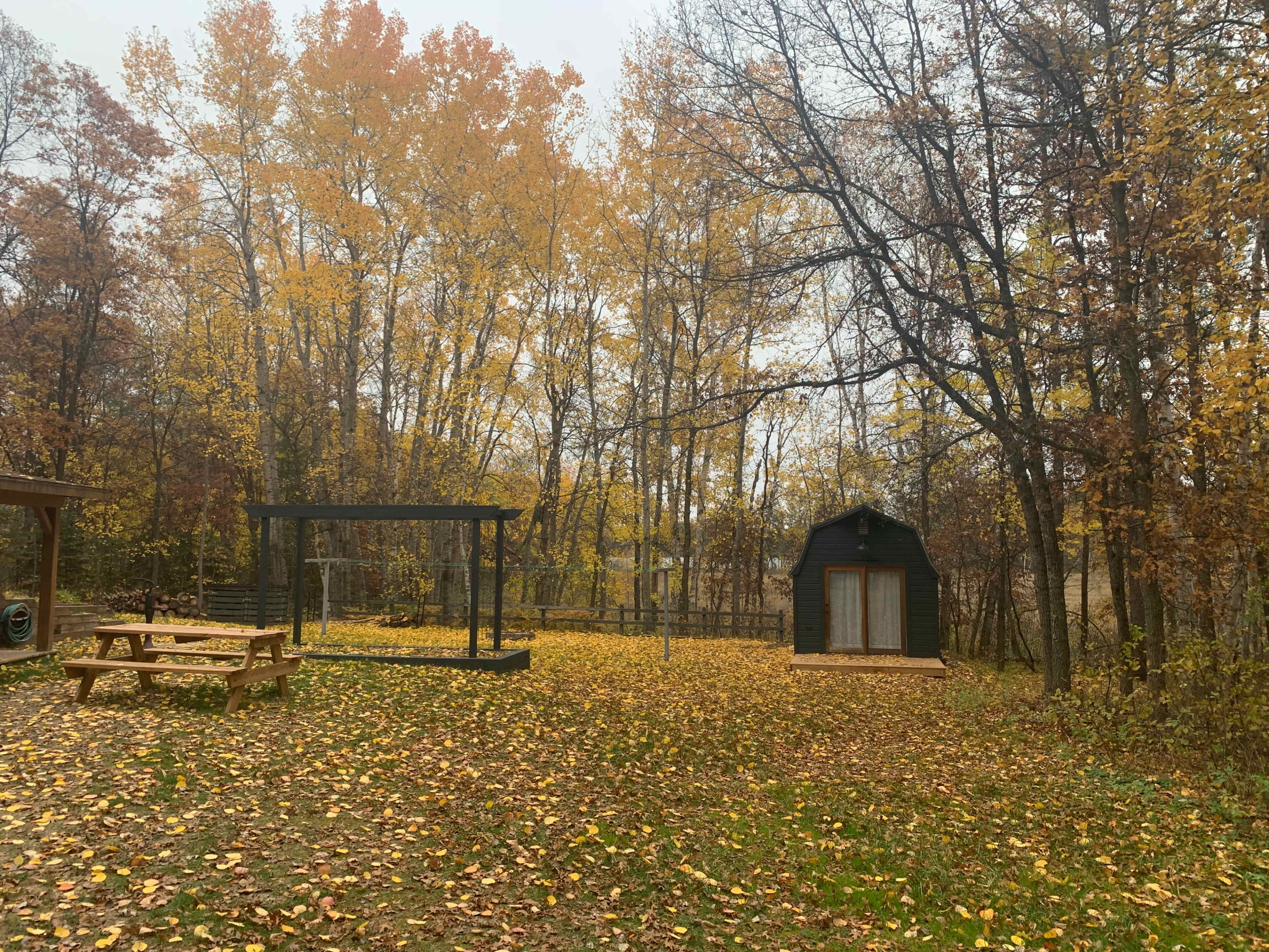 A picnic table sits on a carpet of fallen leaves in a wooded area, adjacent to a swing set and a small black shed.
