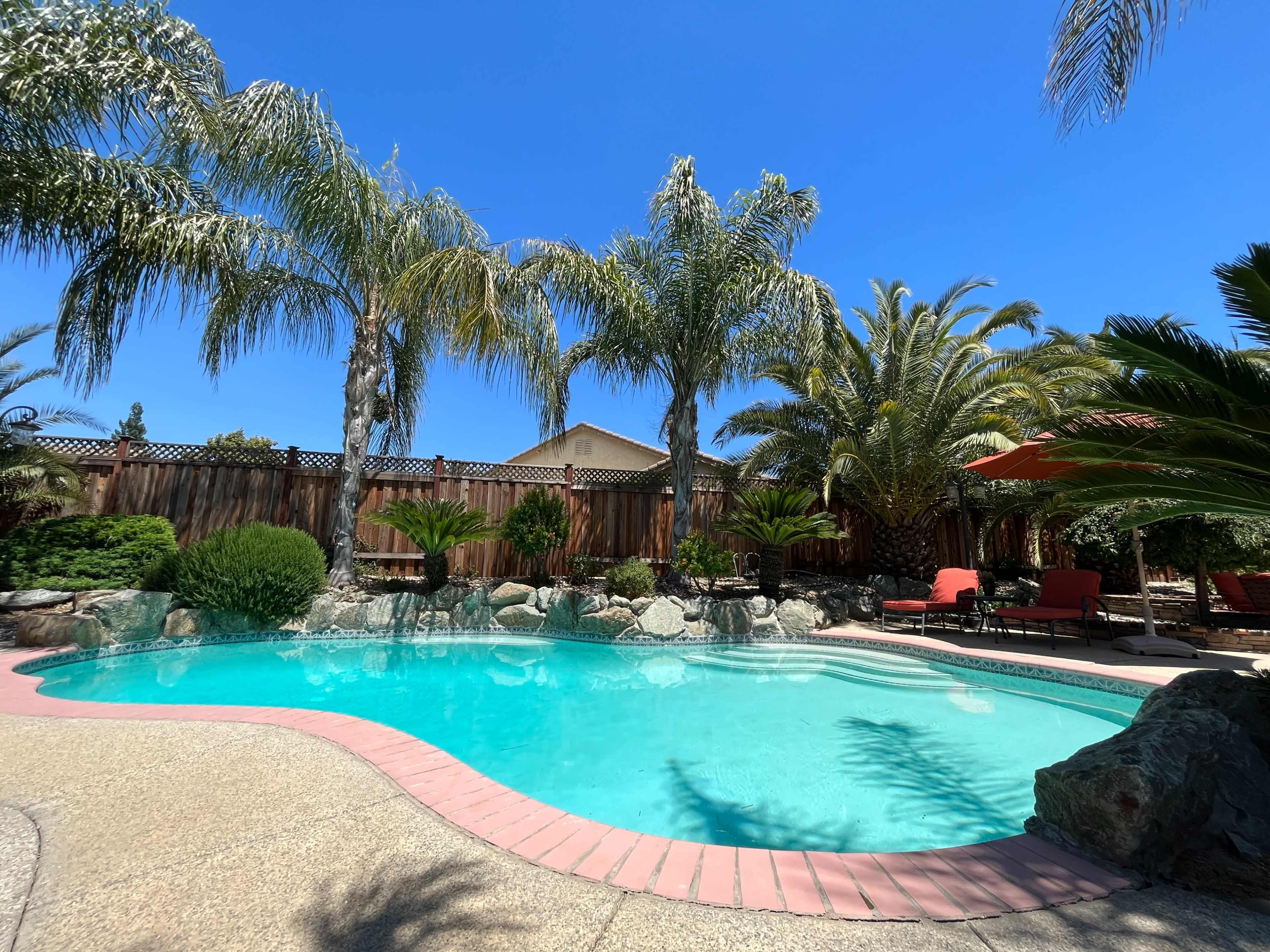 A swimming pool surrounded by palm trees and tropical plants, with lounge chairs and an umbrella nearby.