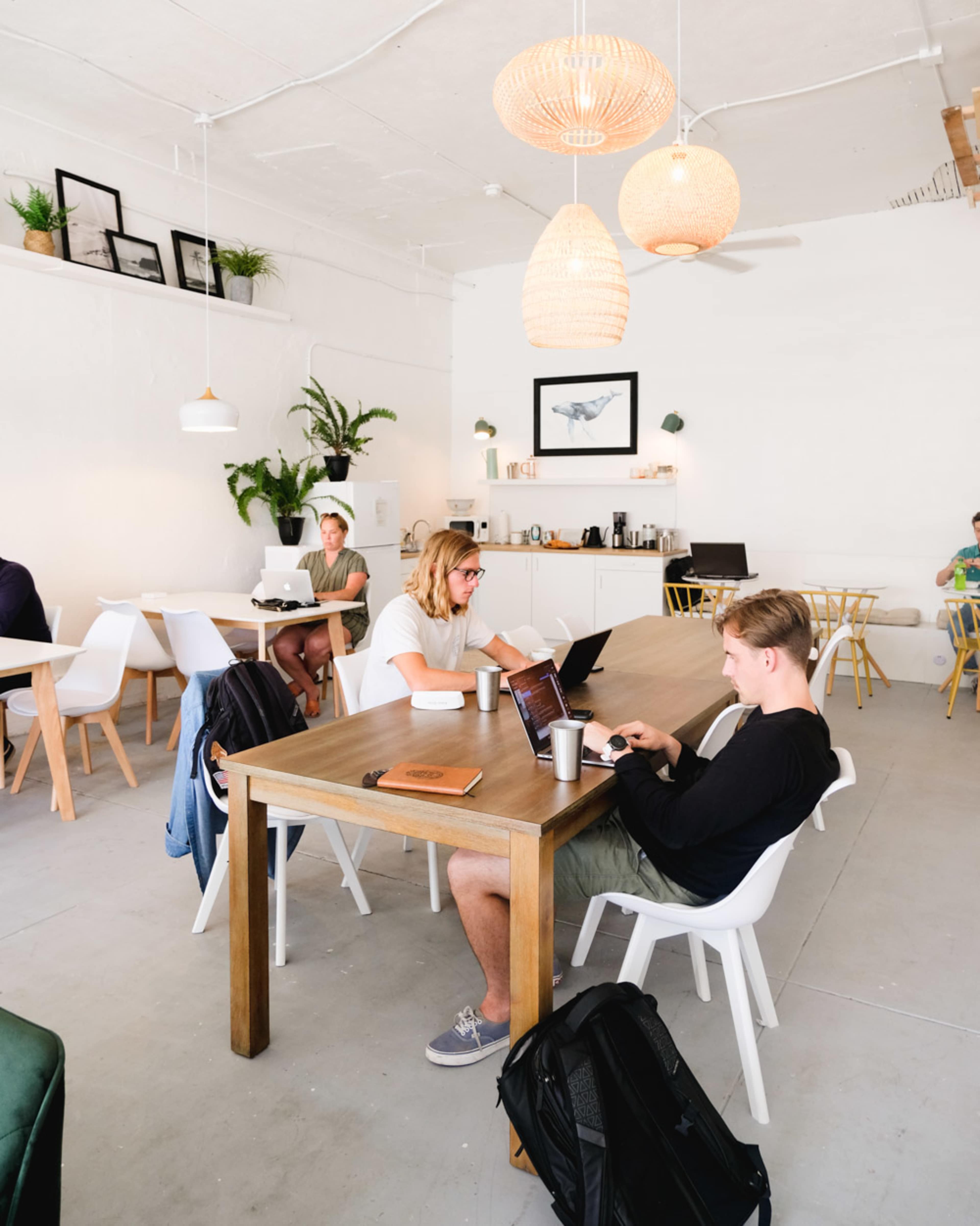 The image shows a bright, minimalist café with people working on laptops at wooden tables, surrounded by indoor plants and pendant lighting.