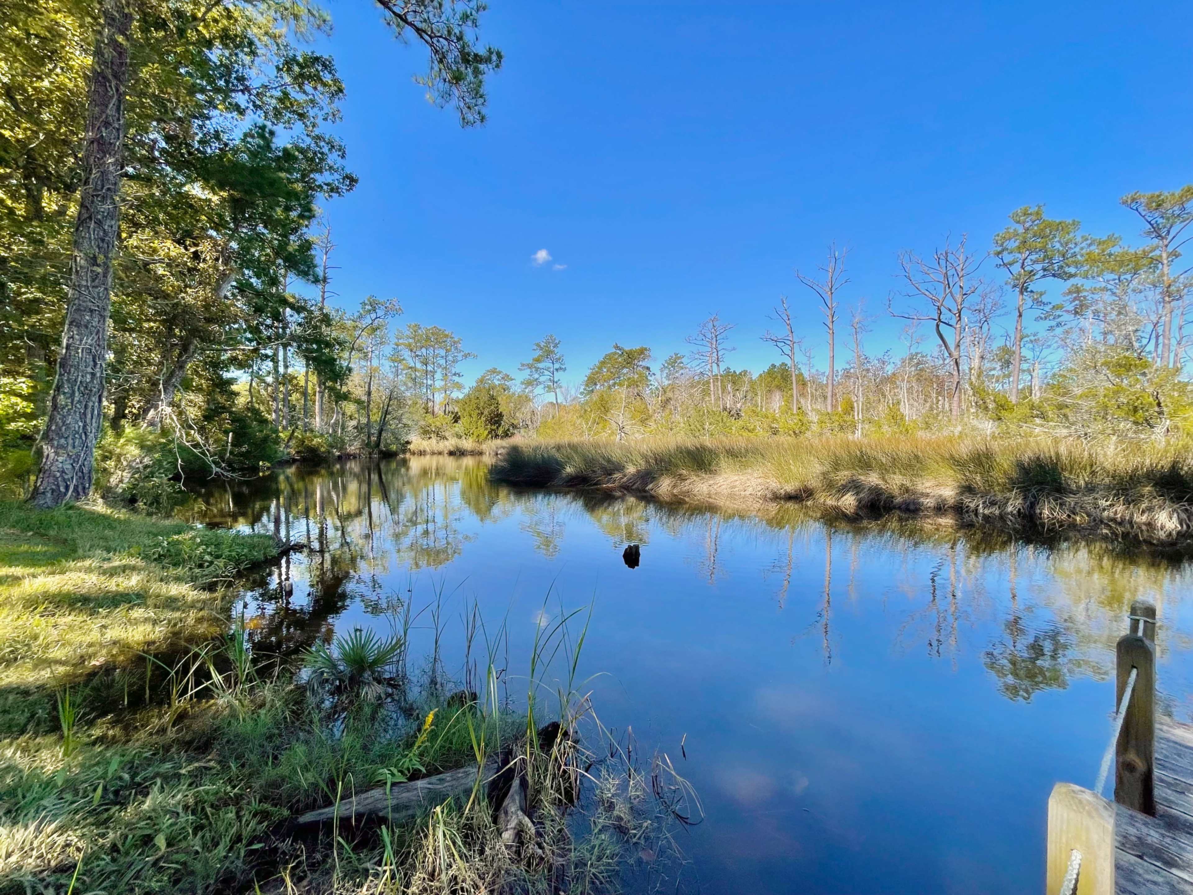 A calm riverbank is lined with tall grasses and trees, reflecting the clear blue sky and tranquil water surface.