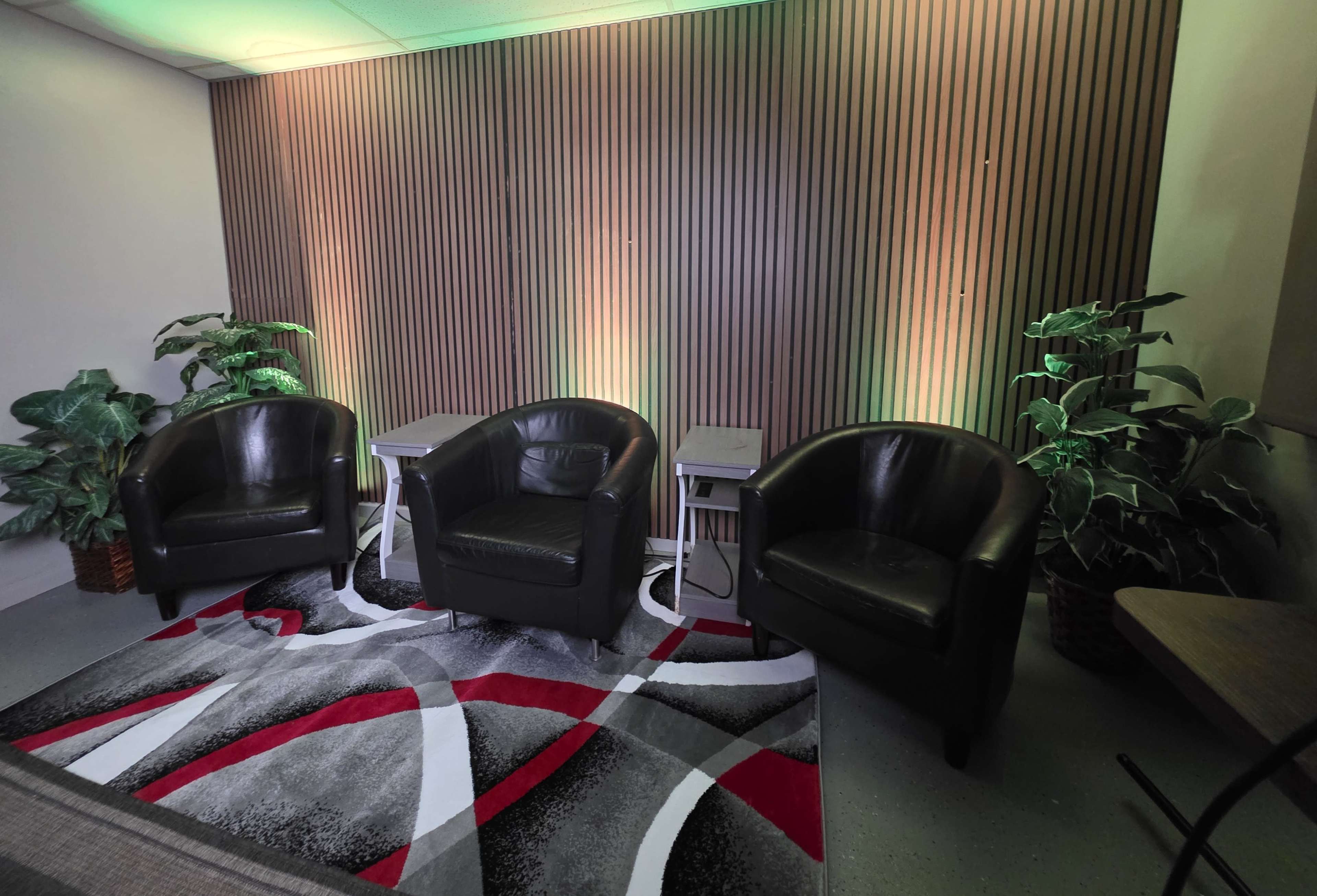 The image shows a seating area with three black armchairs arranged around small side tables, set against a vertical wooden panel wall and adorned with potted plants and a patterned rug.