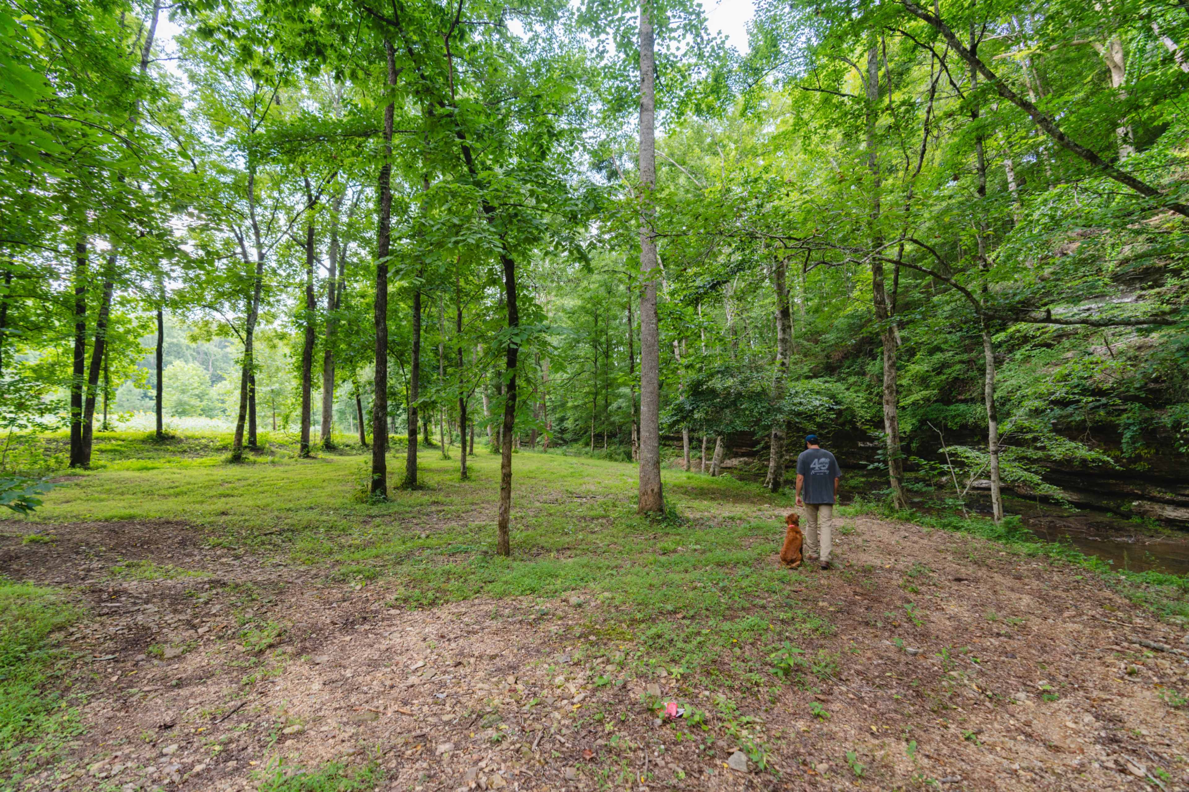 A person walks along a path in a wooded area alongside a dog.