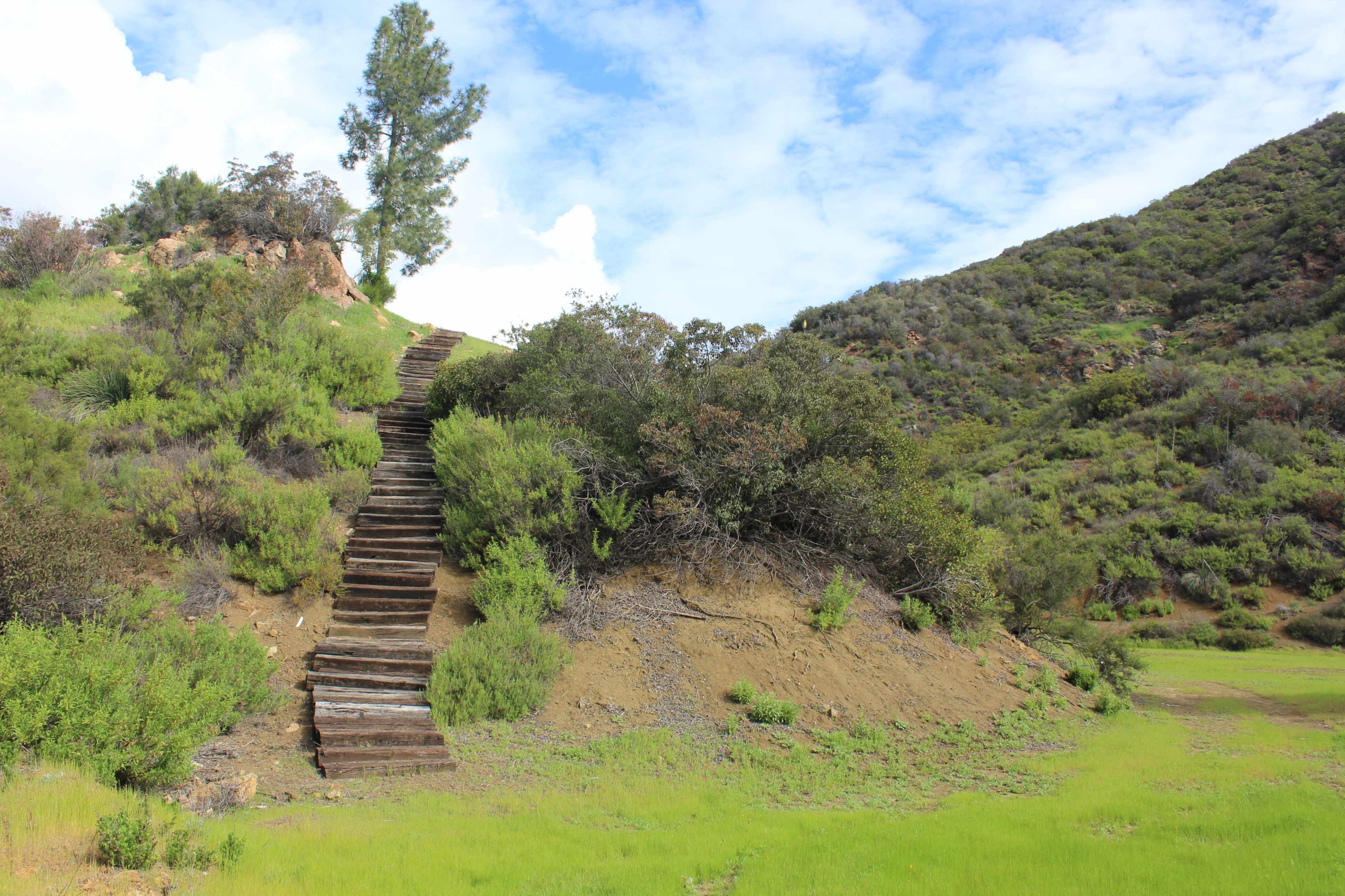 The image depicts a set of wooden steps leading up a grassy hillside surrounded by shrubs and trees under a partially cloudy sky.