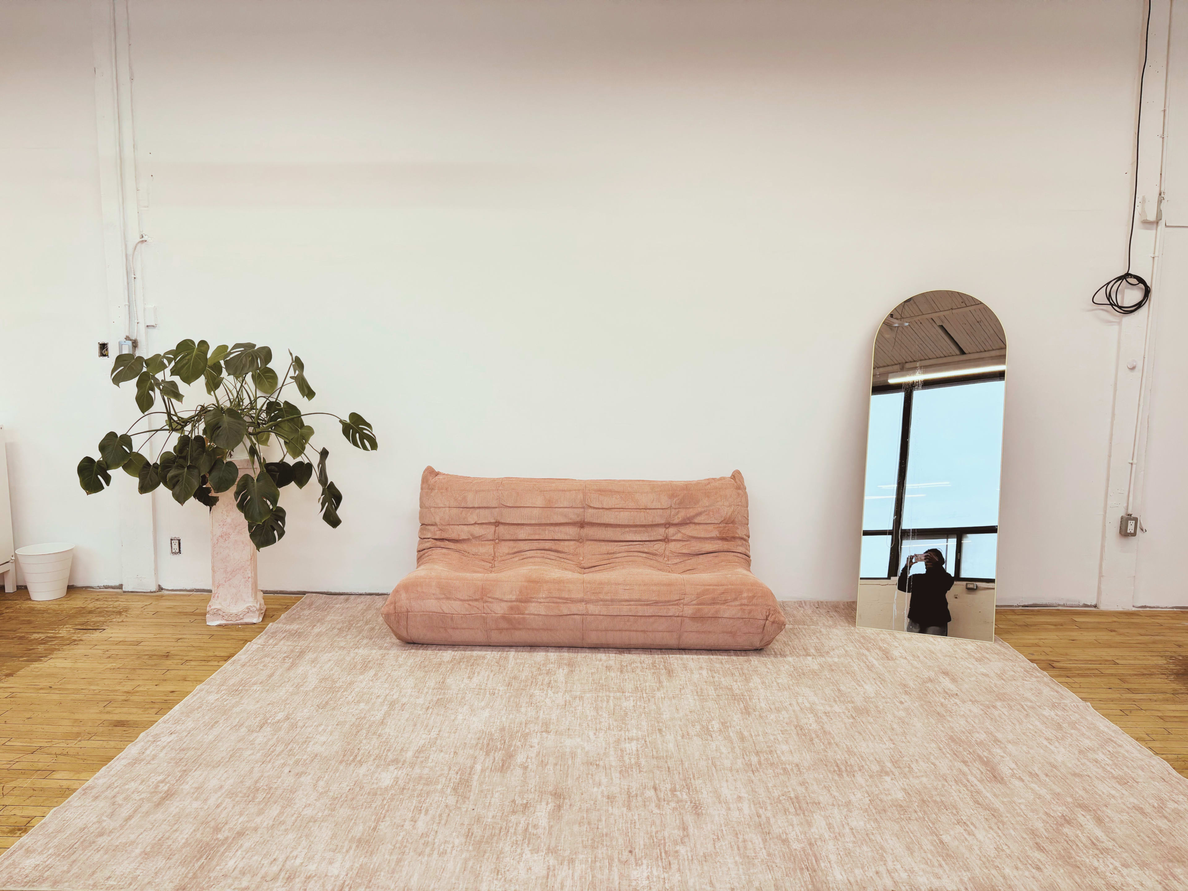 The image shows a minimalistic interior featuring a pink sofa, a large mirror, a potted plant, and a light-colored rug on a wooden floor.