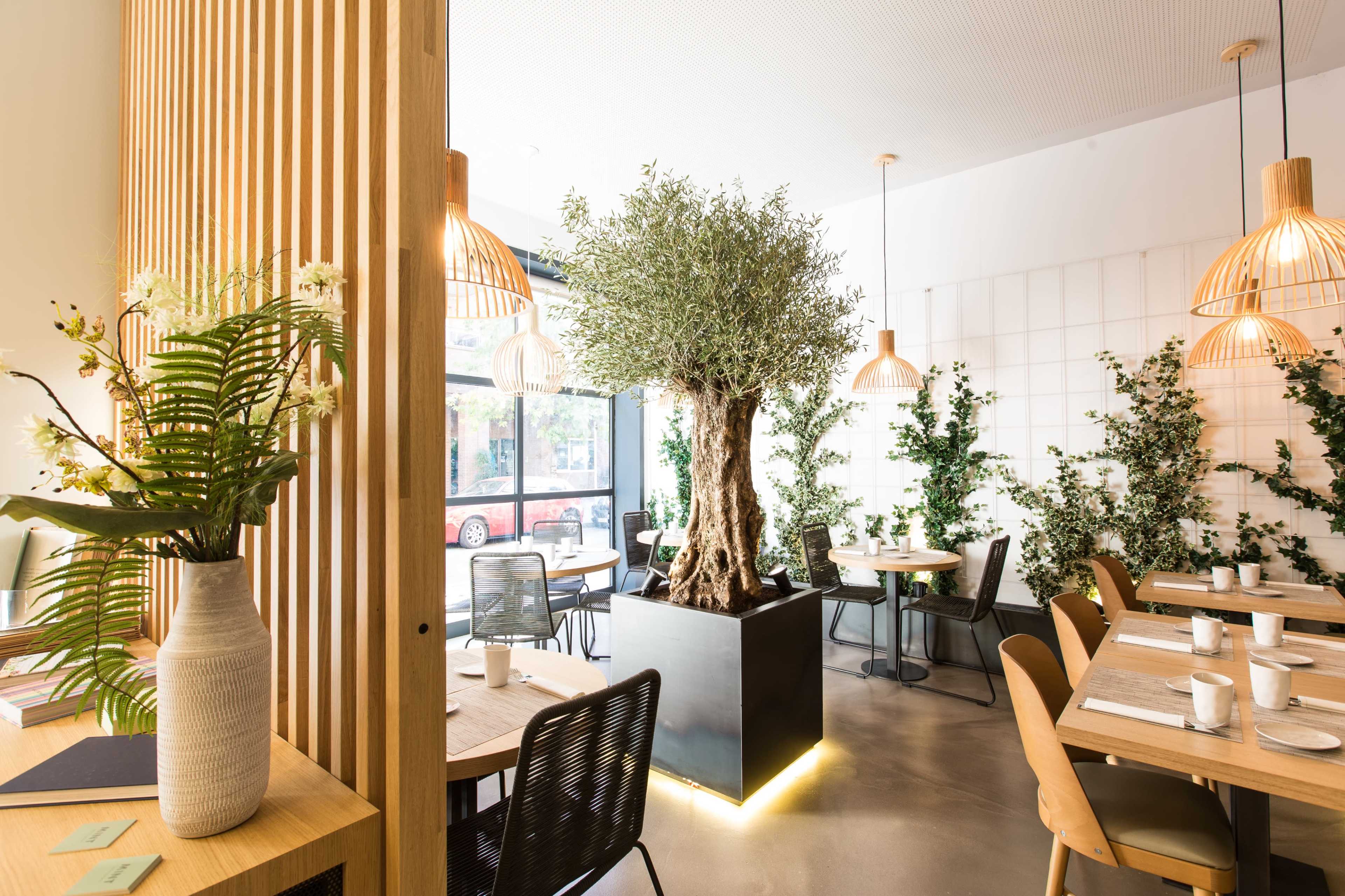 A modern restaurant interior with wooden accents, large pendant lights, and indoor greenery, including an olive tree as a centerpiece.
