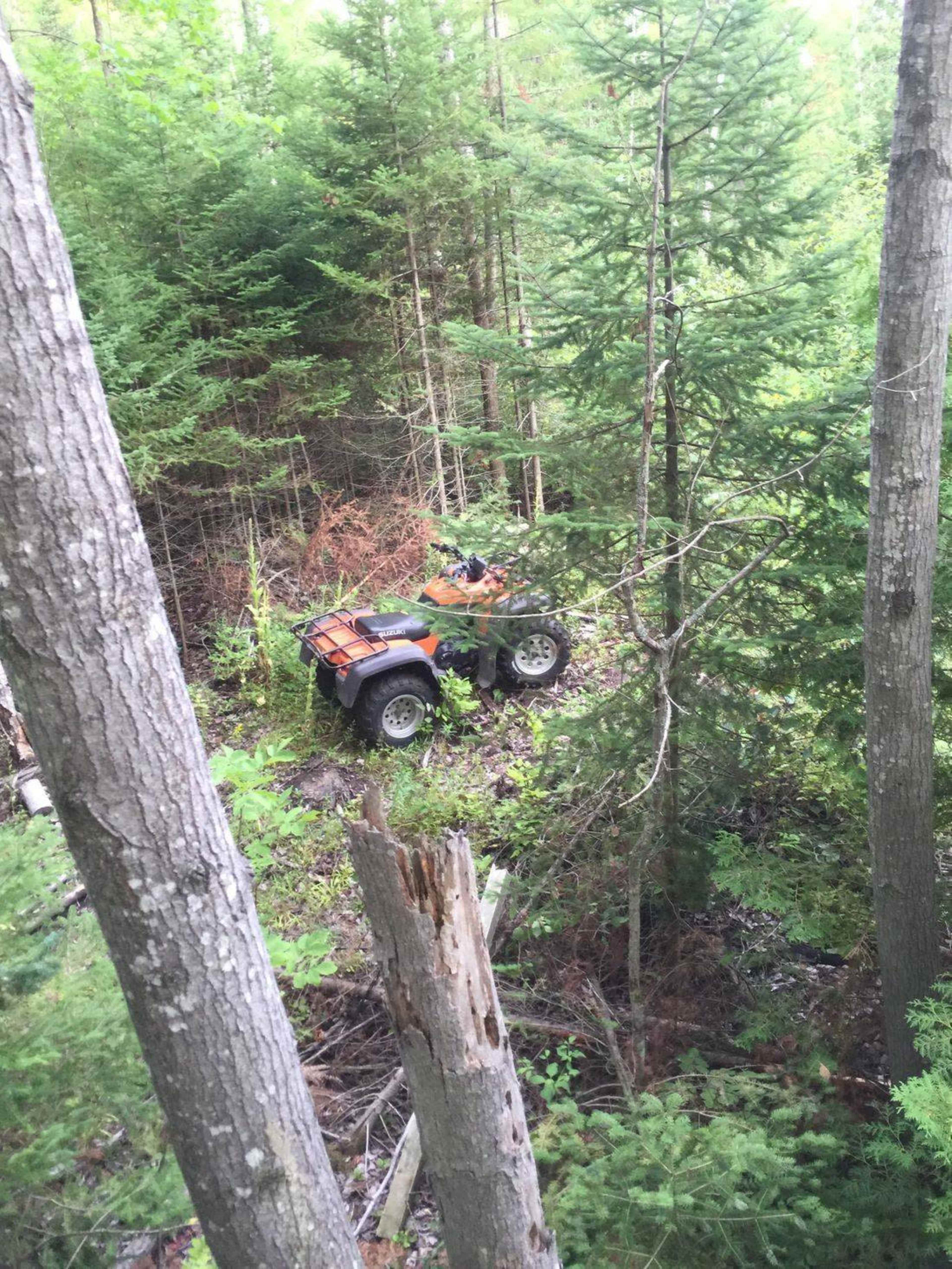 An all-terrain vehicle is parked among trees in a dense forest.