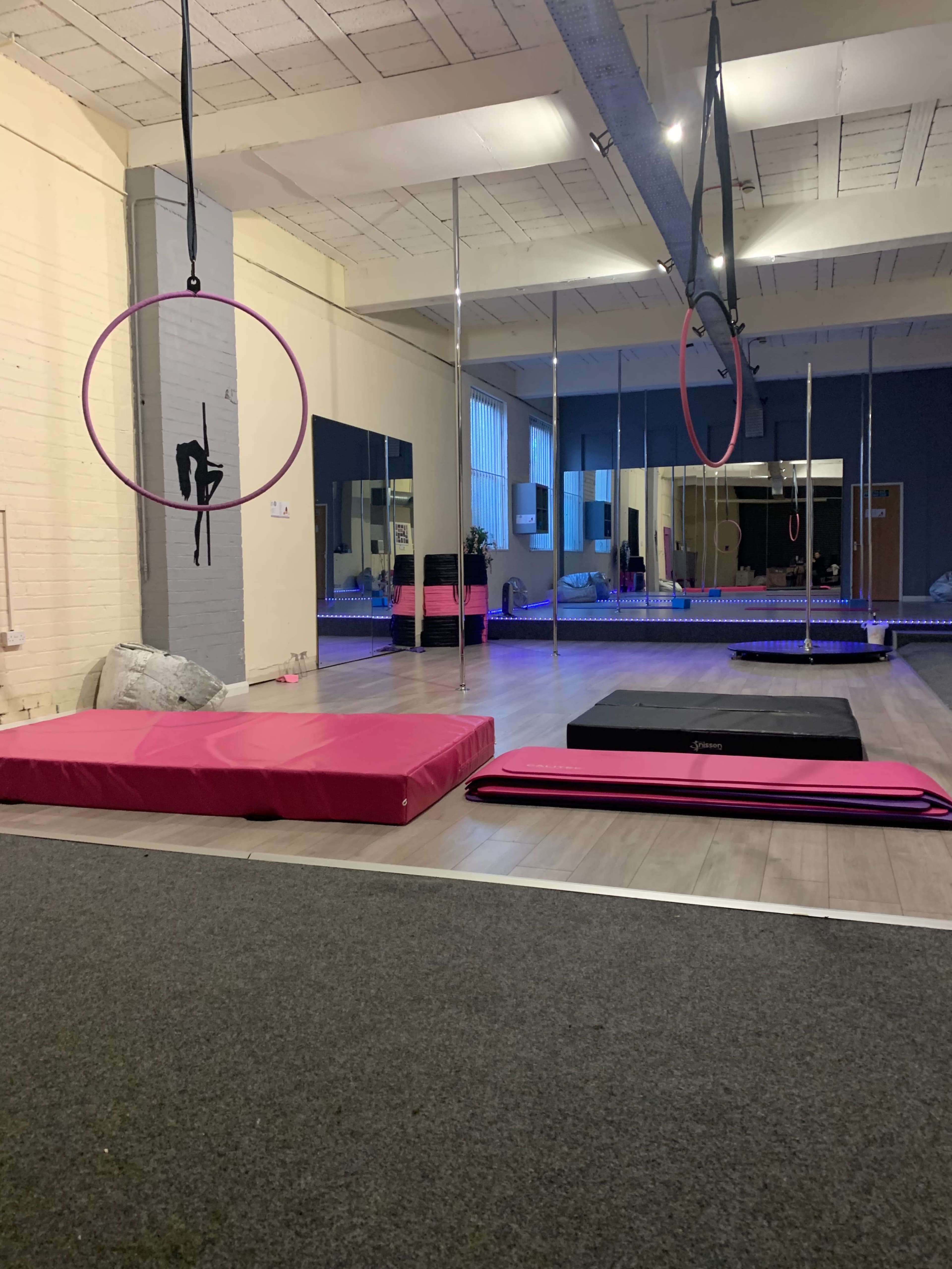 An indoor studio featuring pink mats, aerial hoops, and mirrored walls.