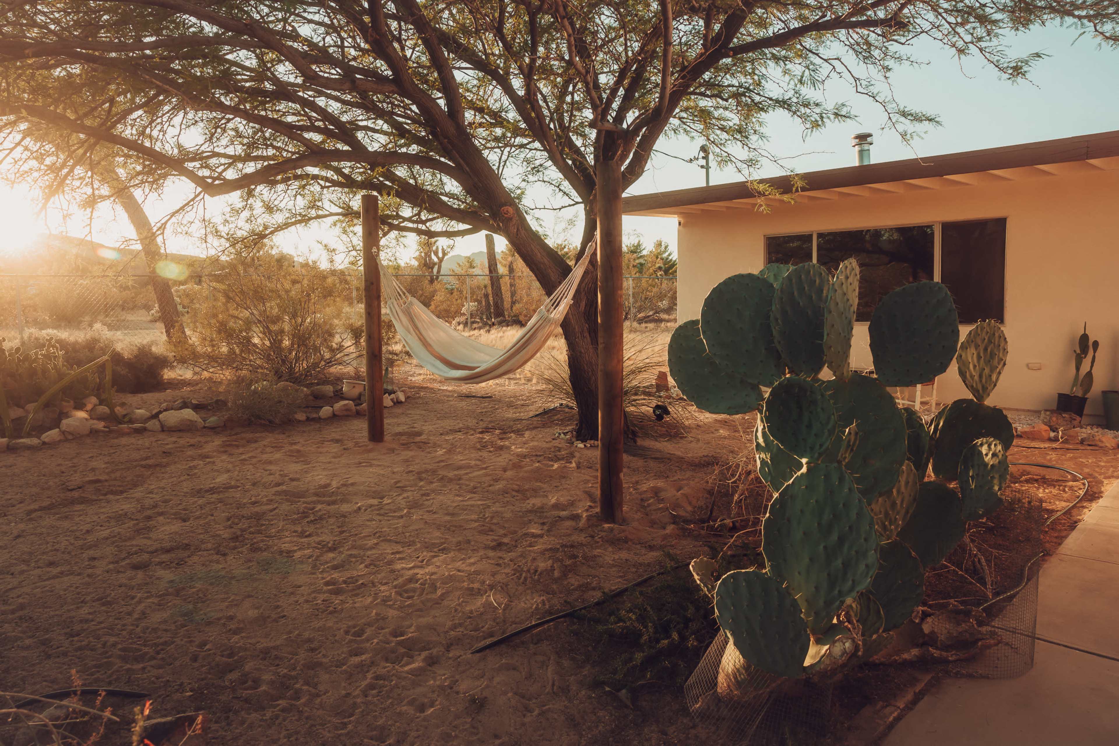 A hammock isSuspended between two wooden posts under a tree in a sandy yard, with a green cactus nearby and a house visible in the background.