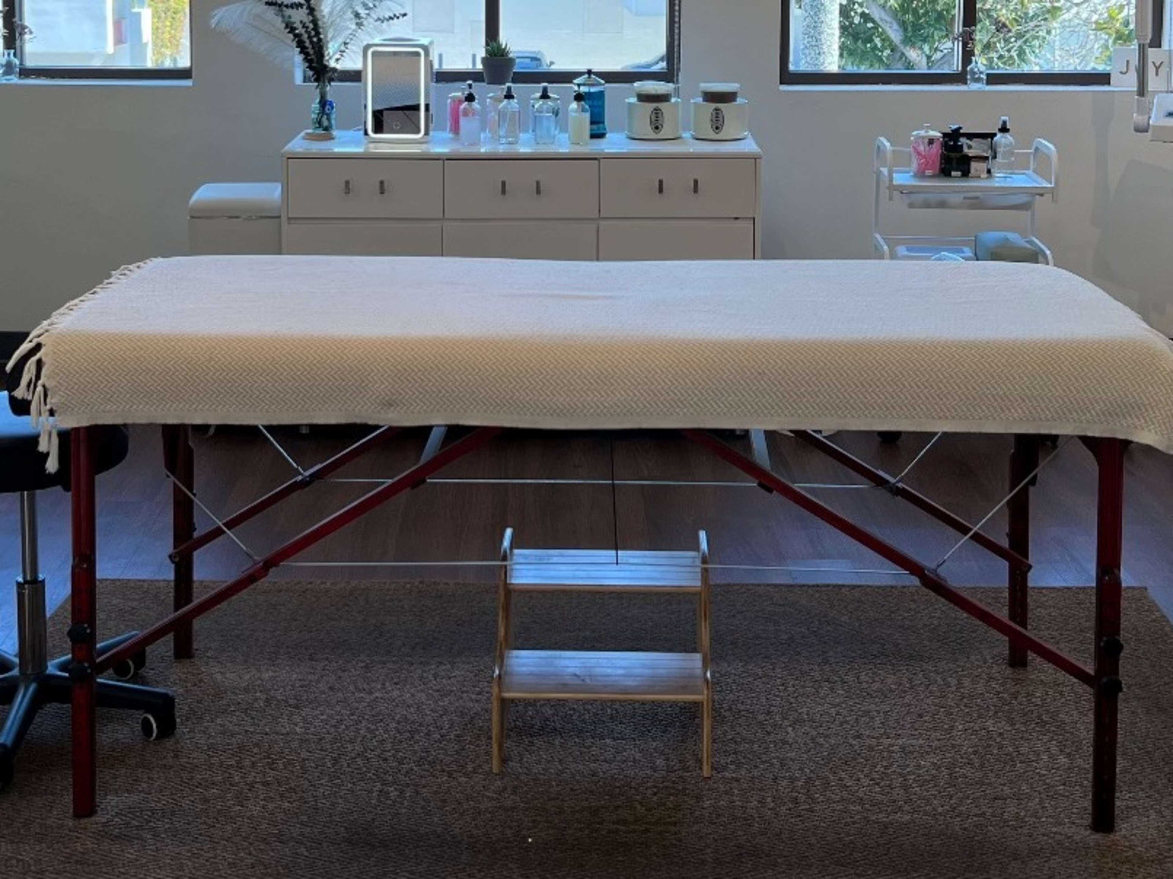 Professional Master Massage Table 
