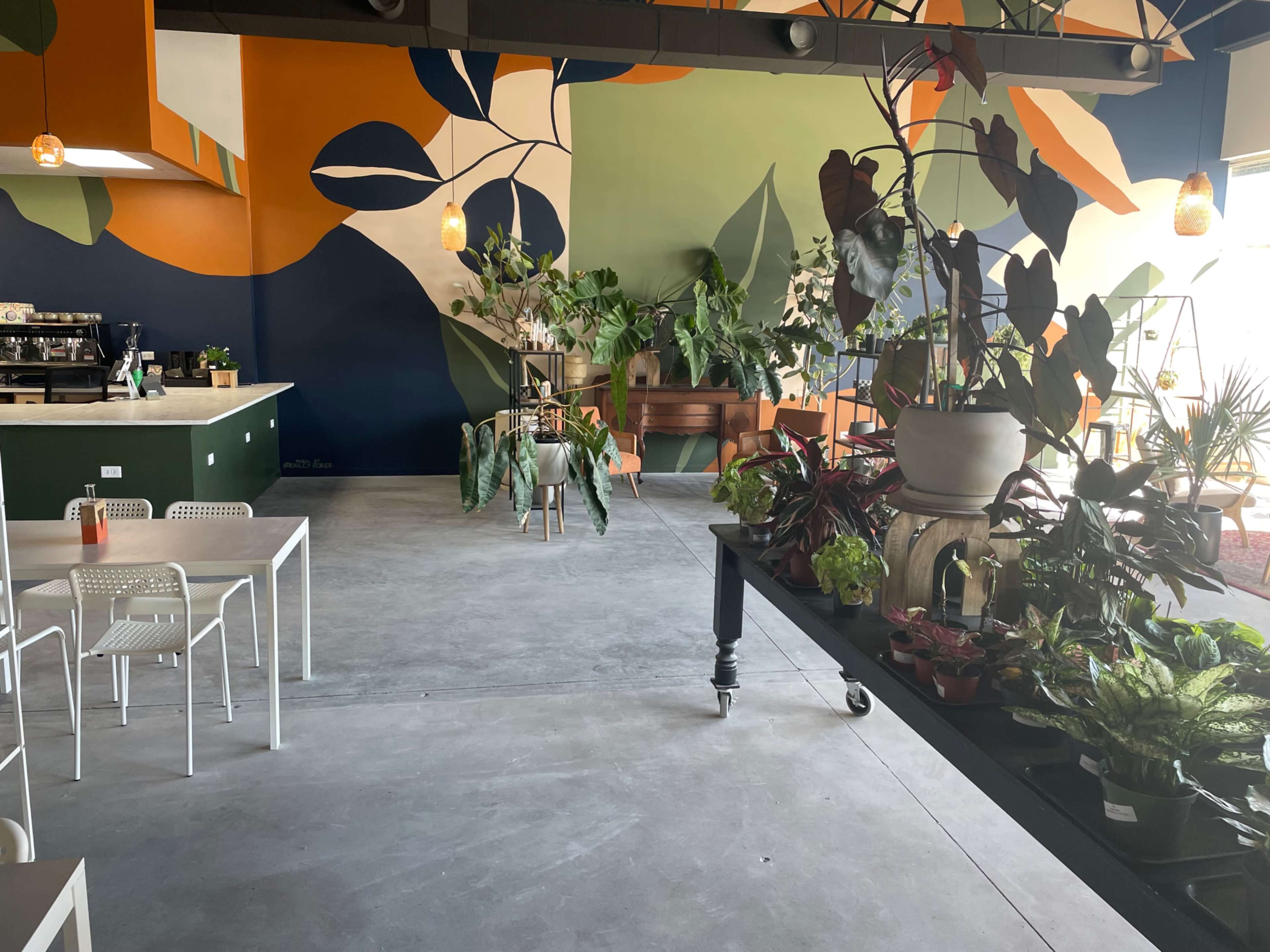 A modern interior space featuring various indoor plants, colorful mural artwork on the walls, and a seating area with chairs and tables.
