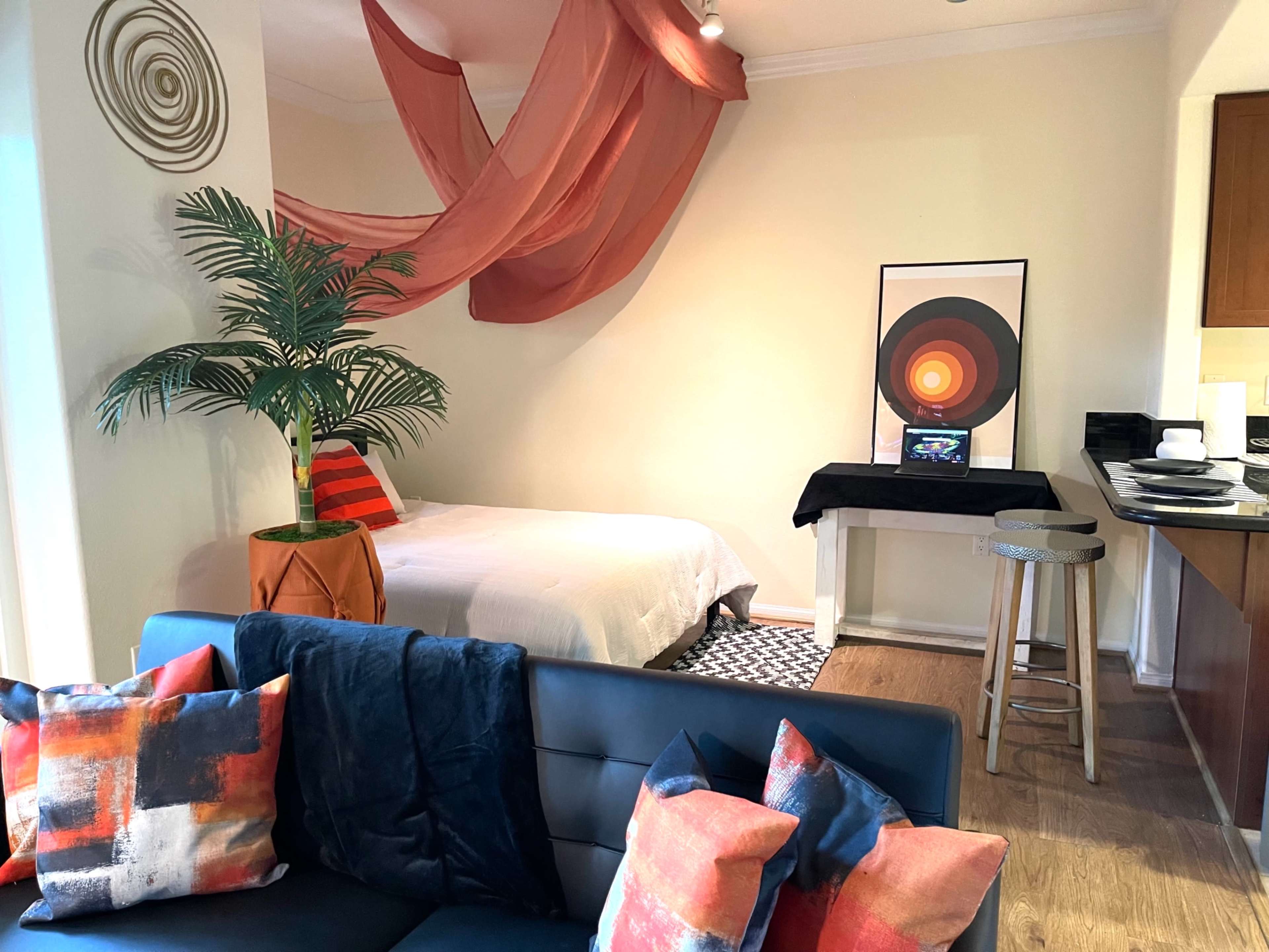 A room with a bed draped in fabric, a potted plant, a patterned rug, a black table, and a couch with colorful pillows.