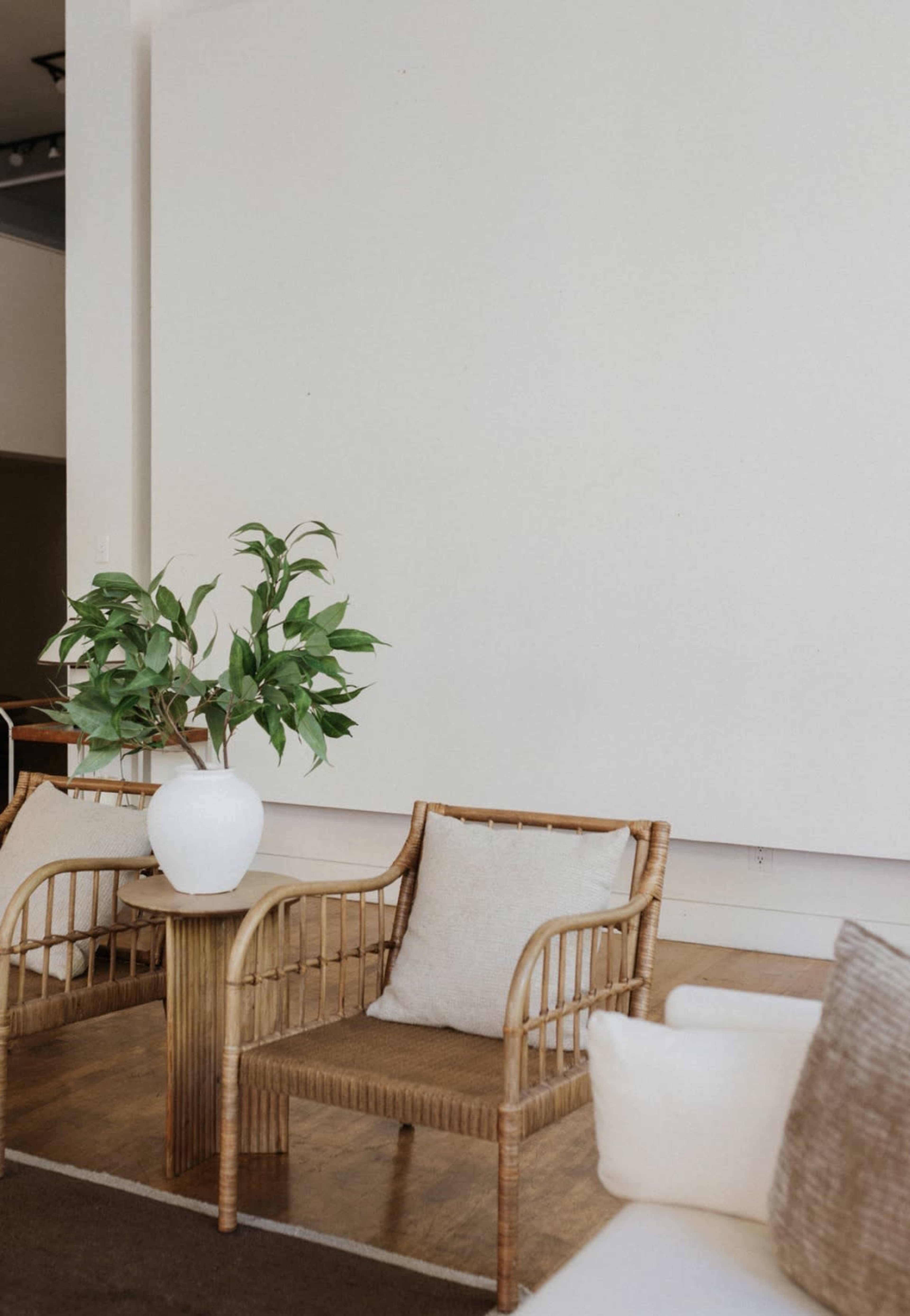 The image shows a minimalist seating area featuring two rattan chairs with cushions and a white vase containing a leafy plant, set against a blank white wall.
