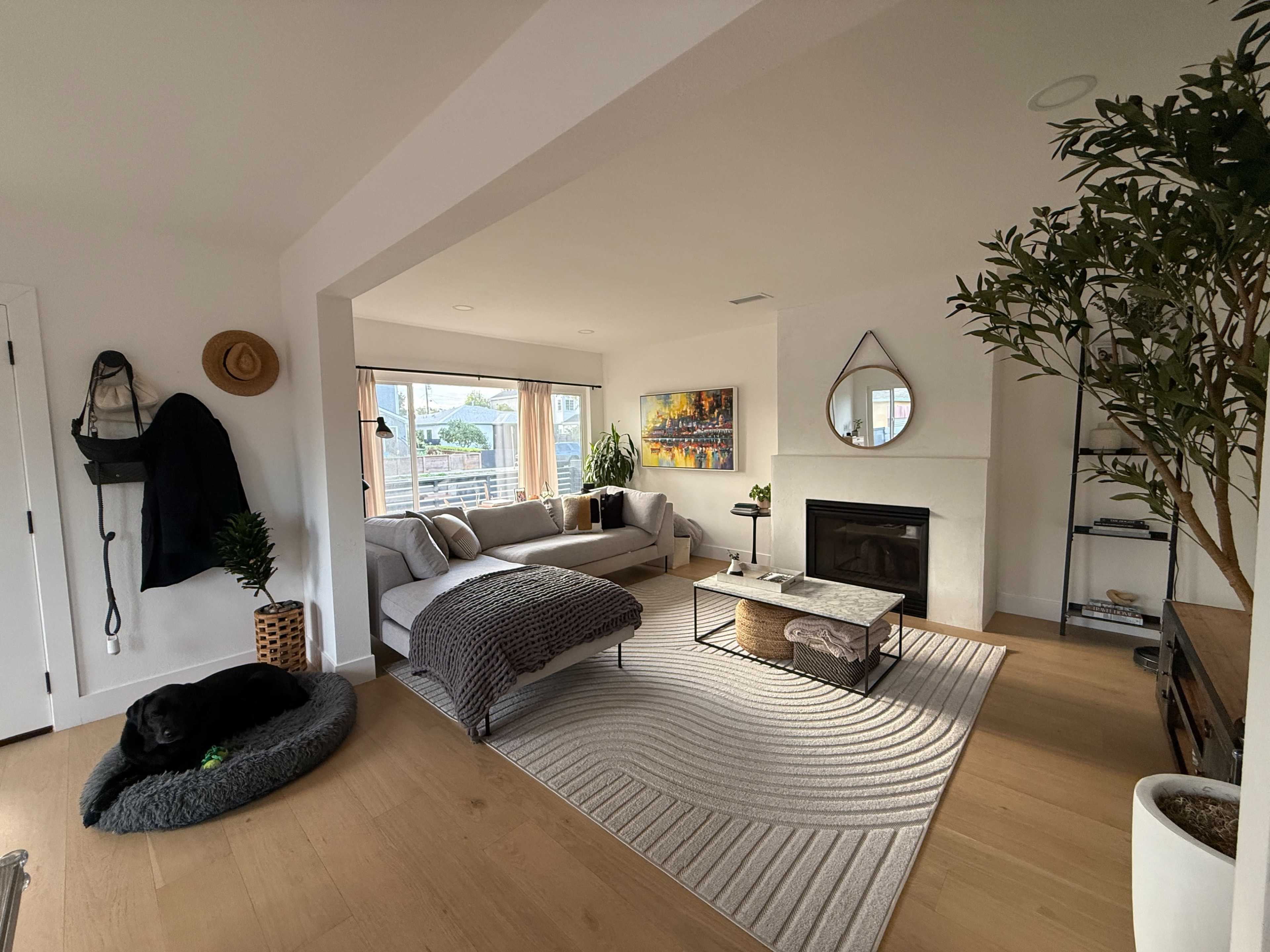 A modern living room features a gray sofa, a coffee table, a fireplace, and a cozy dog bed near a large window, with artwork and decorative plants completing the space.