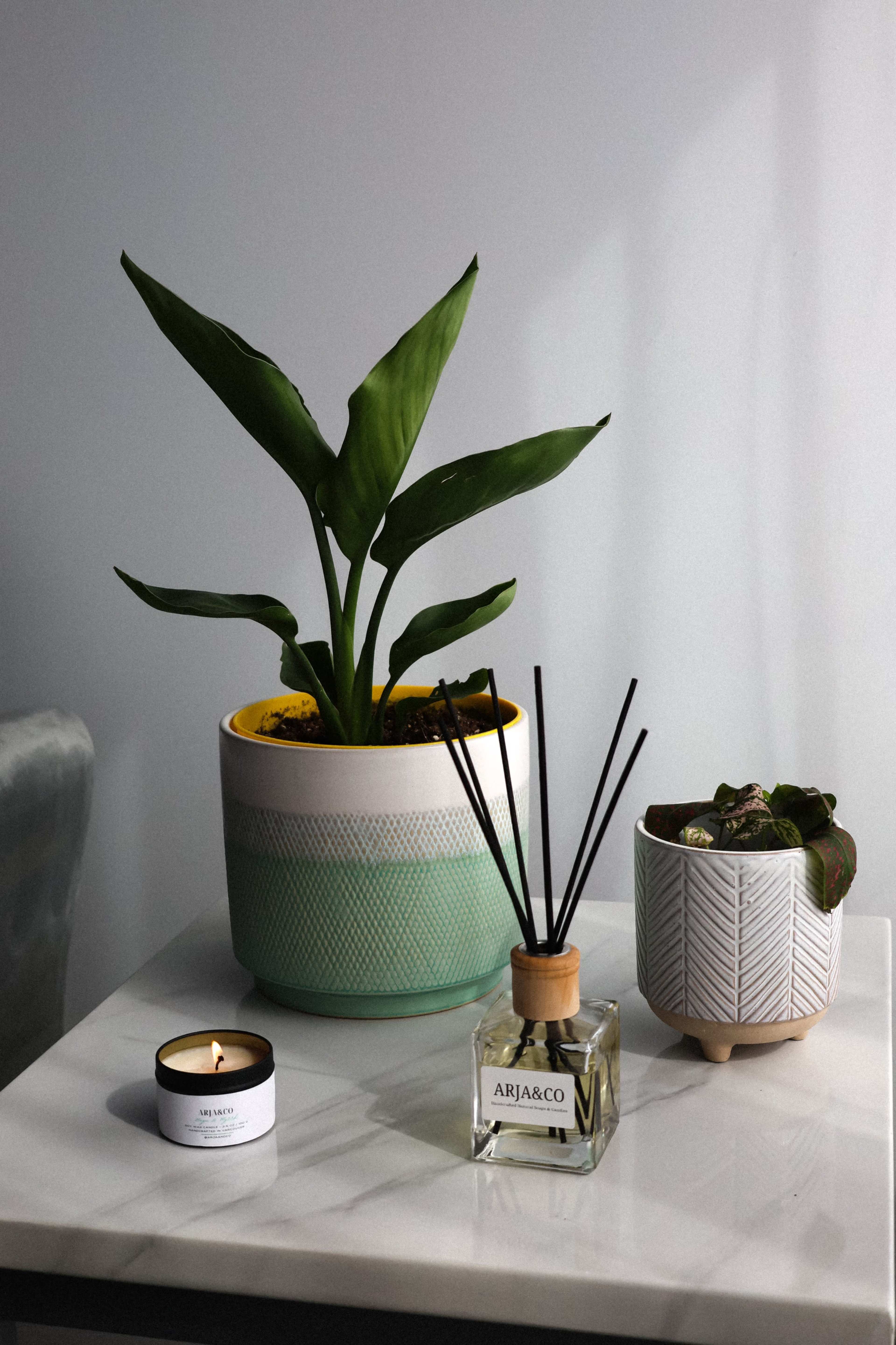 Modern 1000 sq ft Studio in the Heart of Langley – Perfect for Events, Classes & Photoshoots Image in Langley, Langley, BC