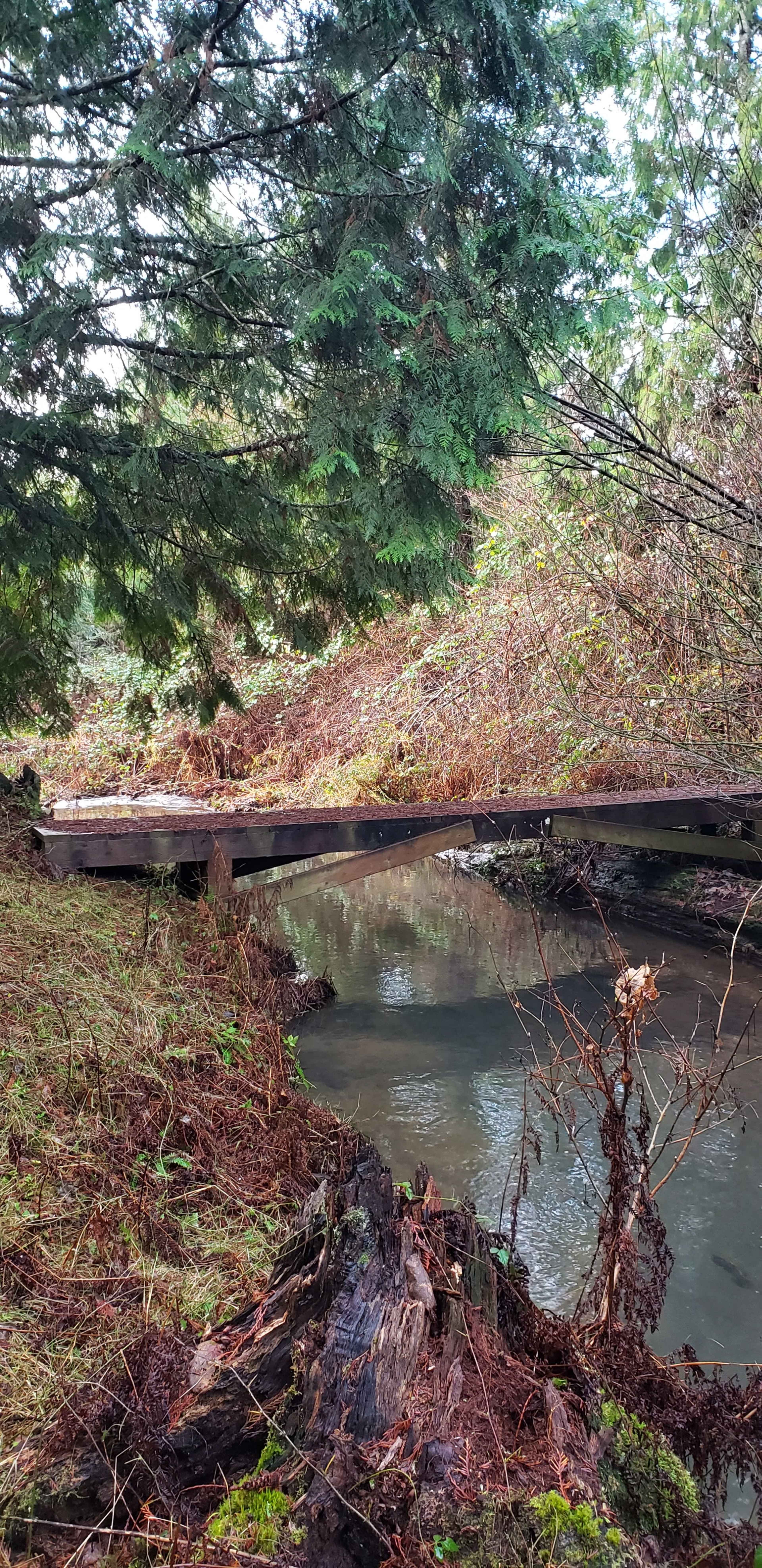 Rustic Barn, Office and Pasture Areas Image in , Beavercreek, OR
