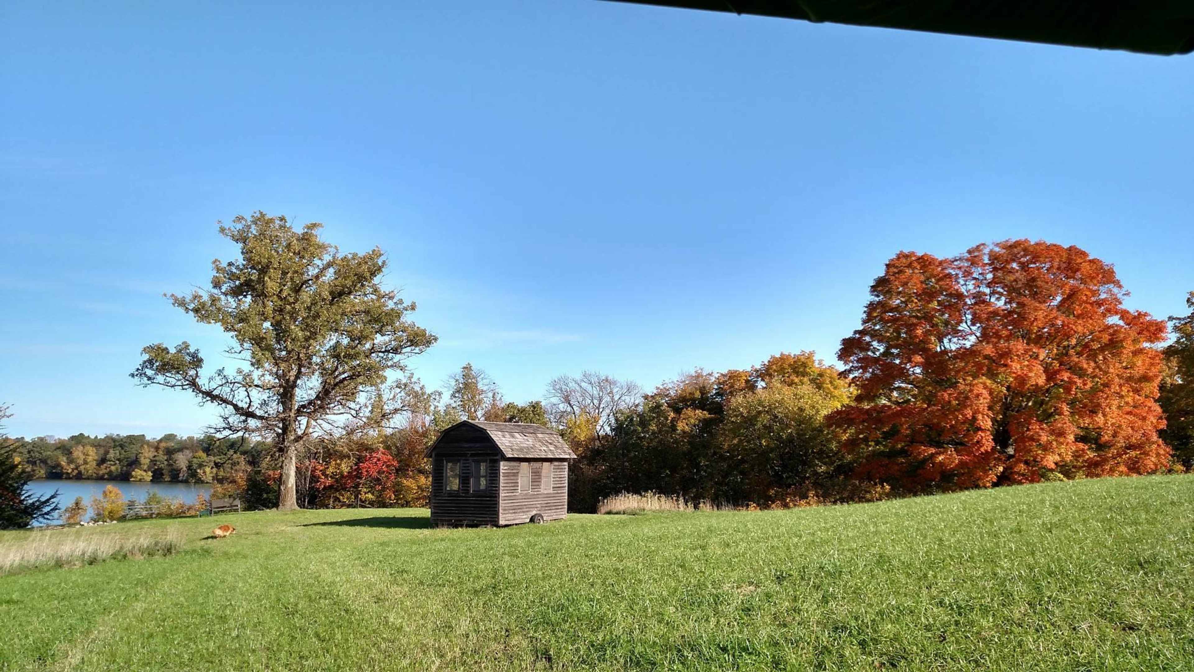 A small wooden shed stands on a grassy area beside a lake, framed by trees displaying autumn foliage.