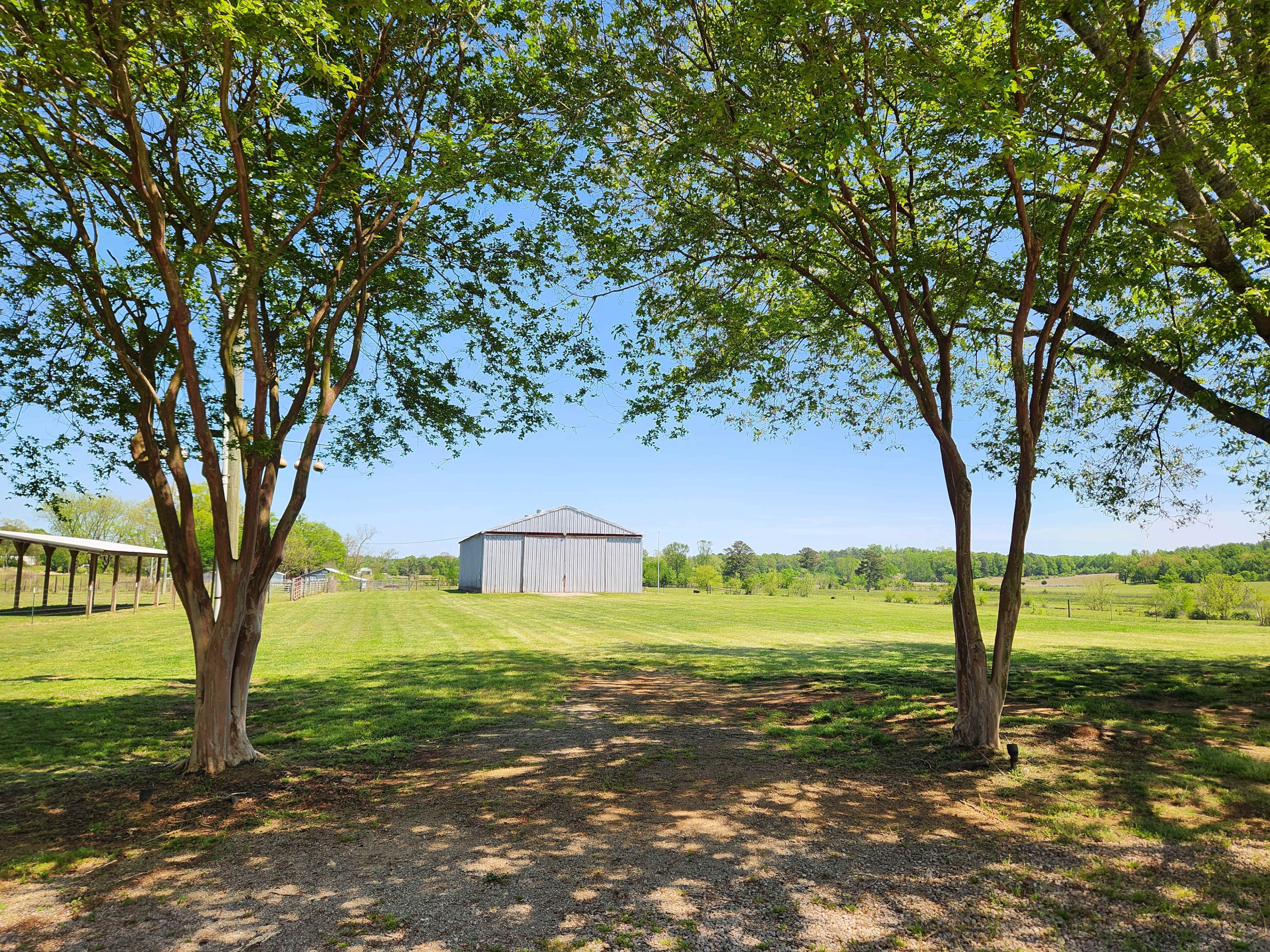 A clear blue sky frames a weathered barn standing in an open field, flanked by two young trees.